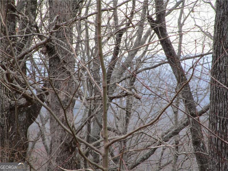 Lot 29 Long Mountain Trail Property Photo 10