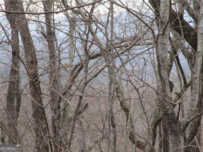 Lot 29 Long Mountain Trail Property Photo 11