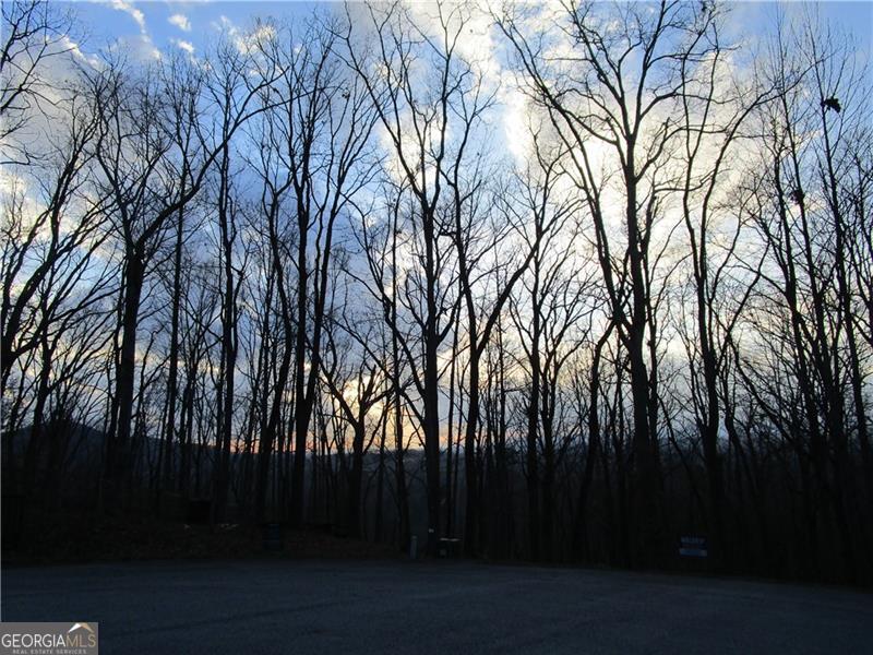 Lot 29 Long Mountain Trail Property Photo 12
