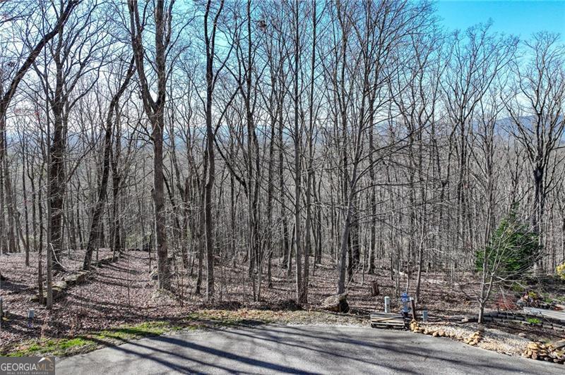 Lot 29 Long Mountain Trail Property Photo 22