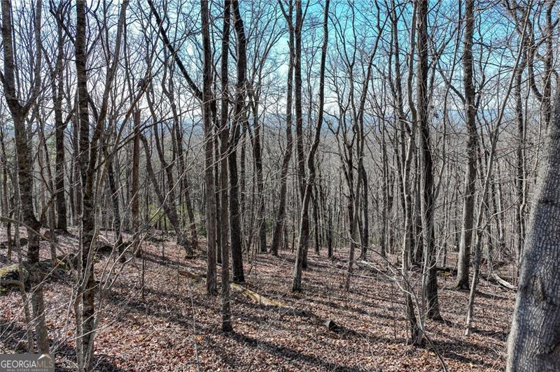 Lot 29 Long Mountain Trail Property Photo 23