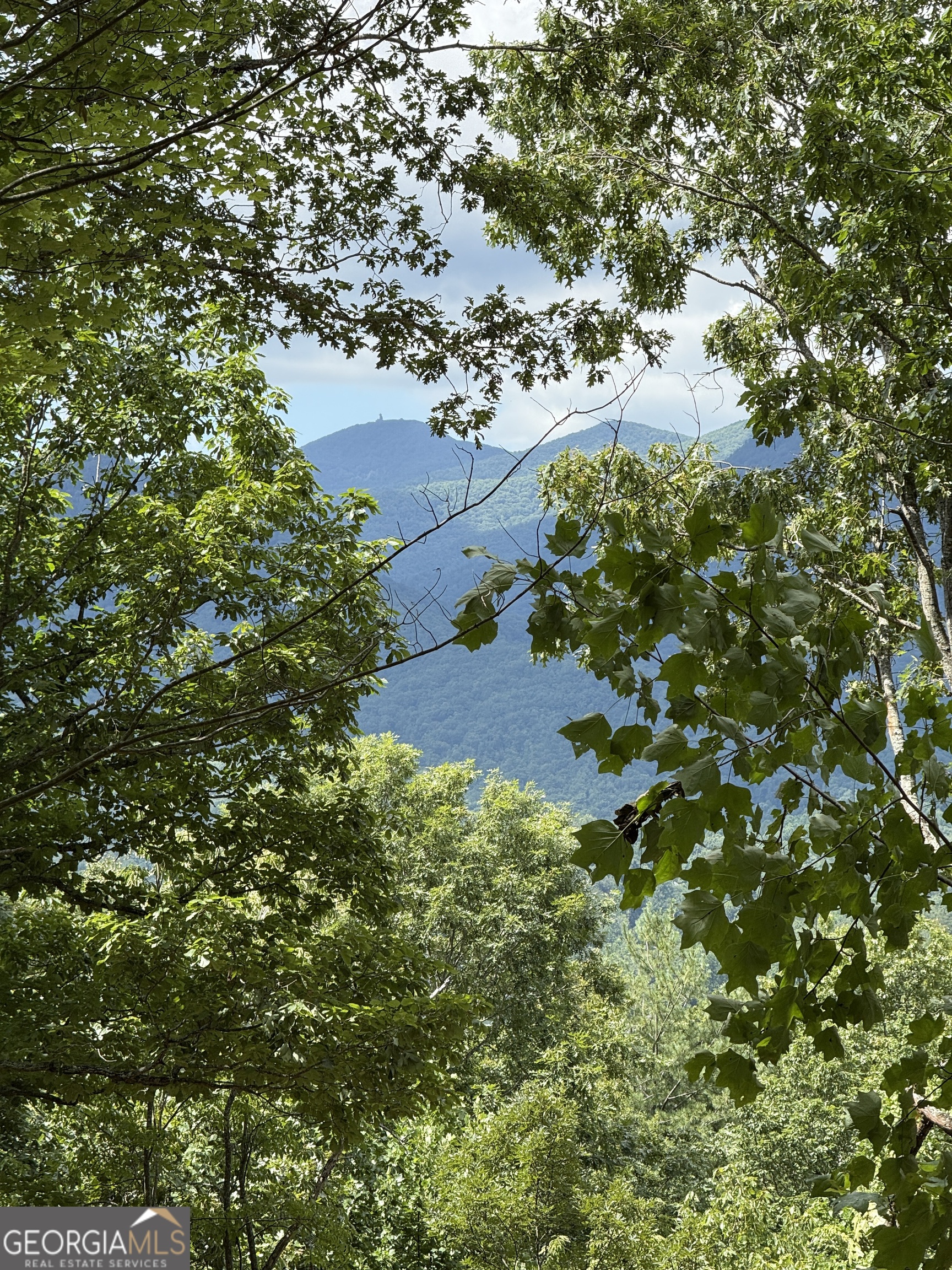 Lot 1 Whiskey Mountain Estates Property Photo 4