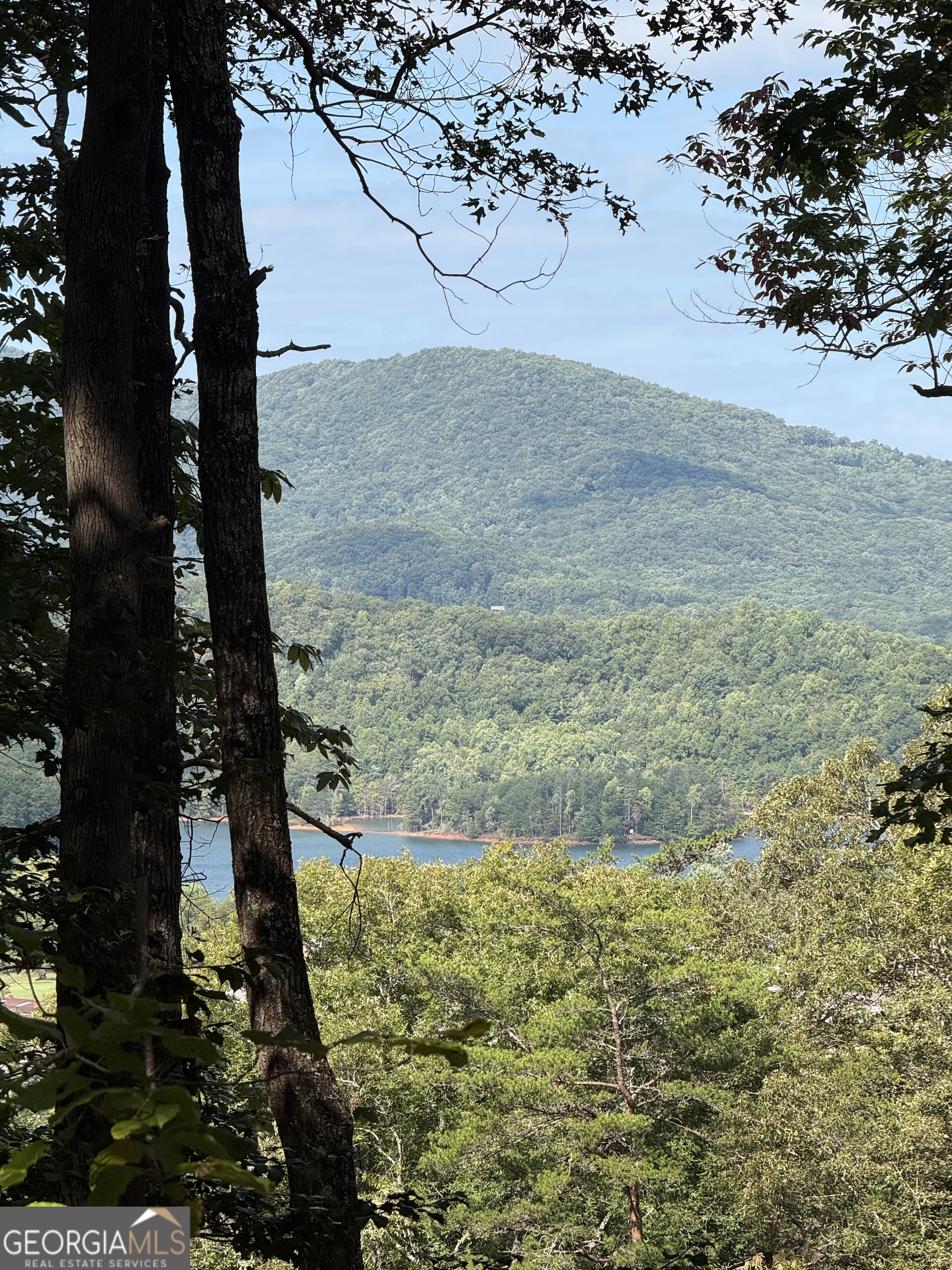 Lot 1 Whiskey Mountain Estates Property Photo 5