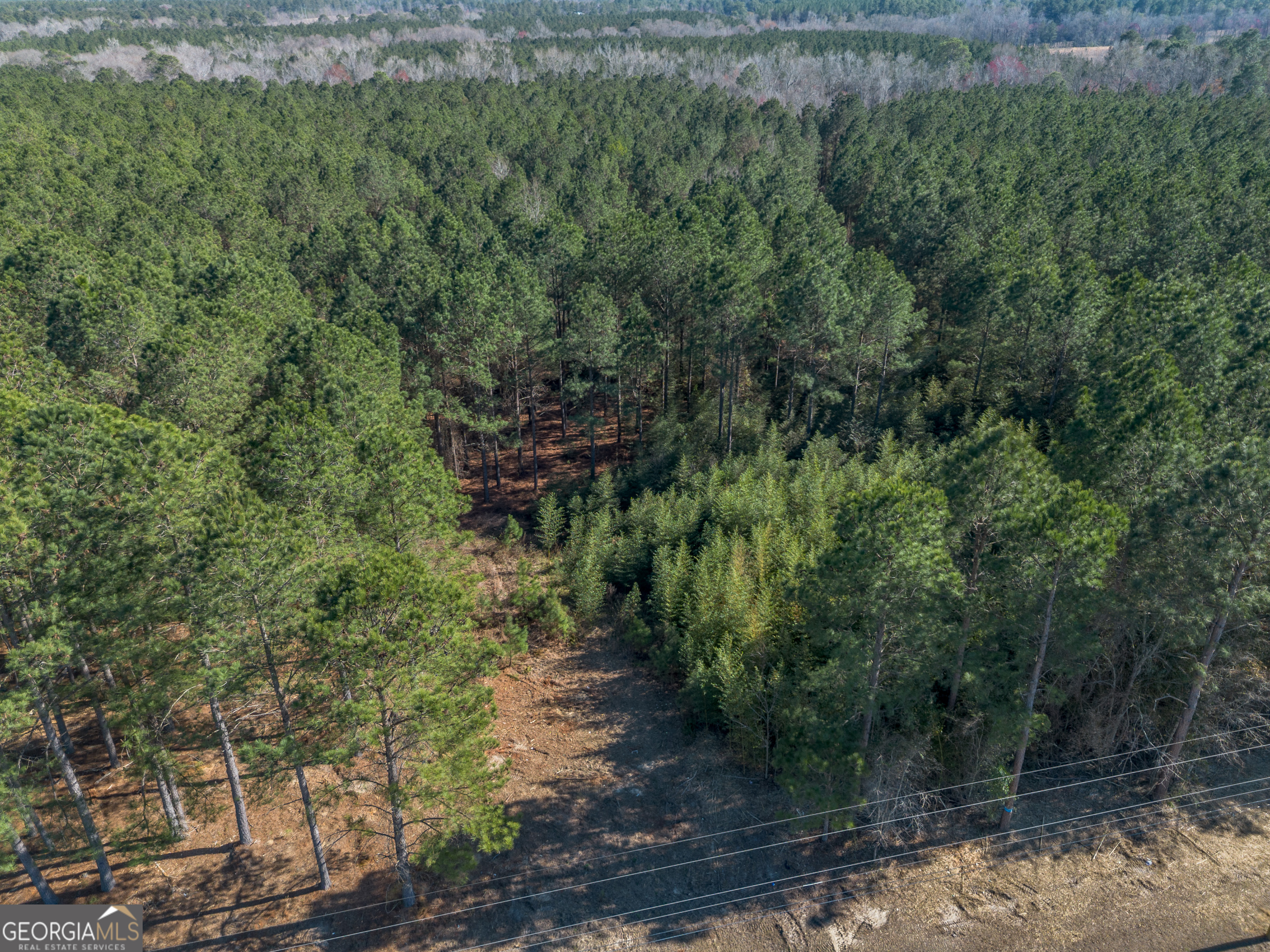 Lot 1 Ben Giddens Road Property Photo 3