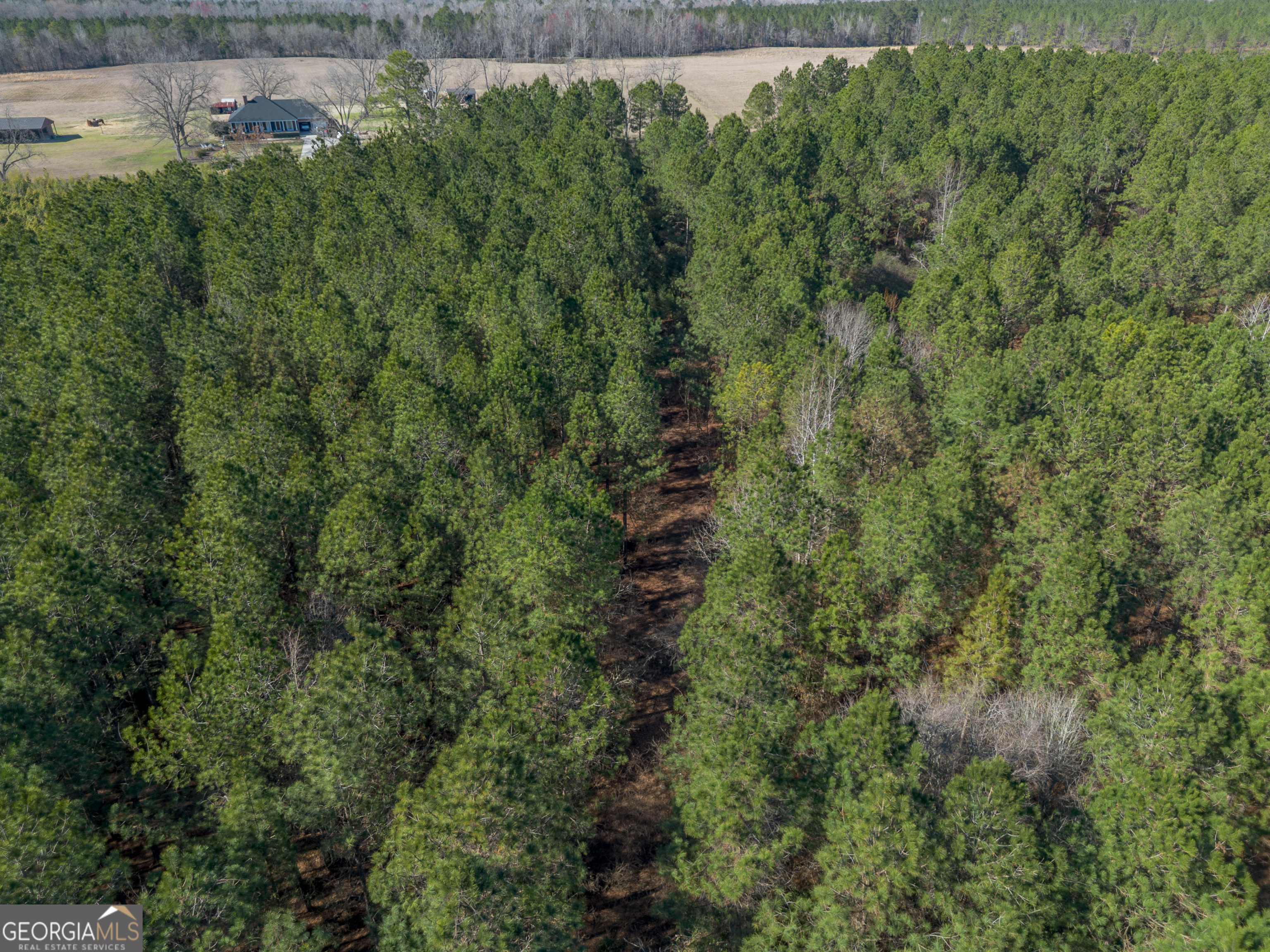 Lot 1 Ben Giddens Road Property Photo 5