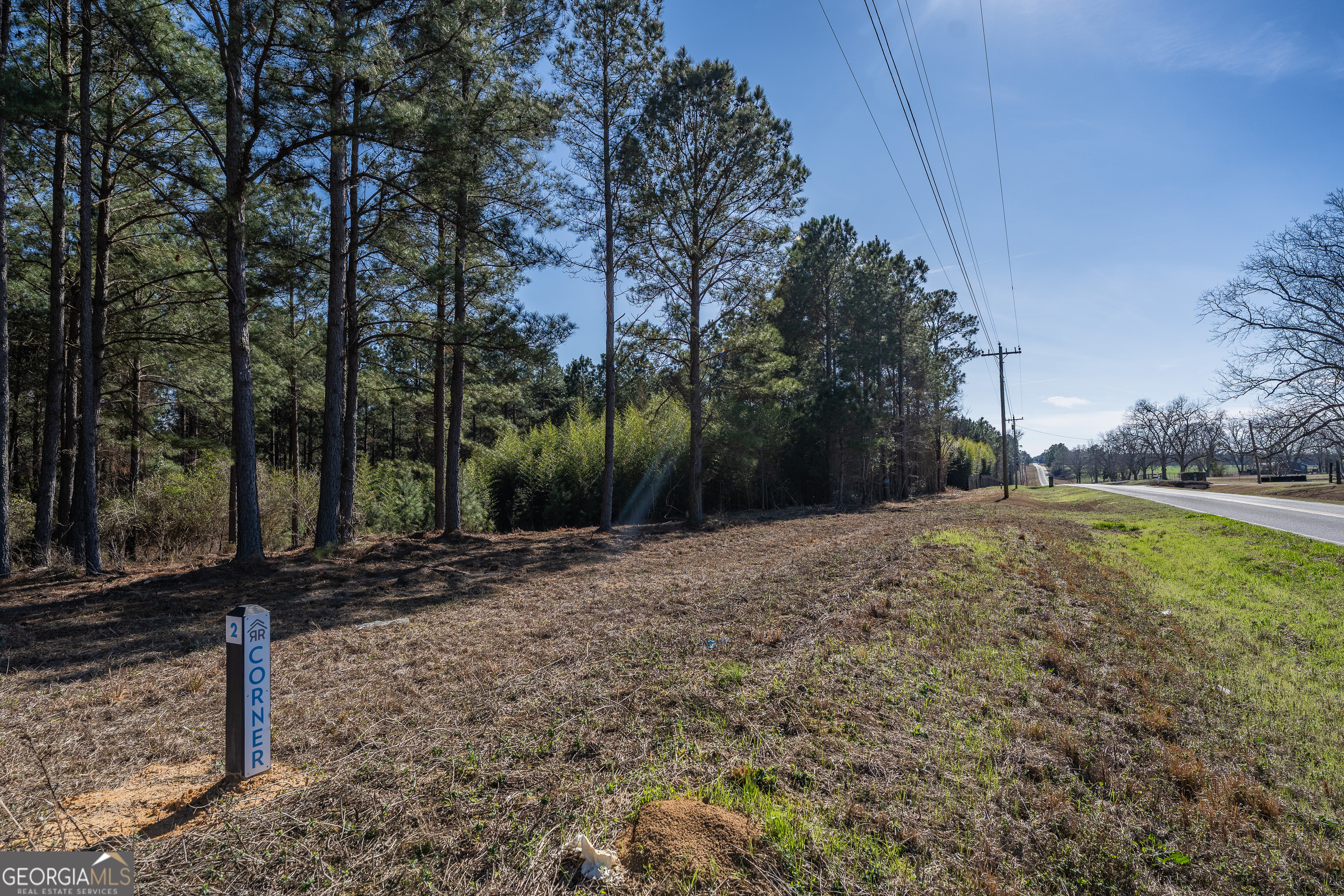 Lot 1 Ben Giddens Road Property Photo 6
