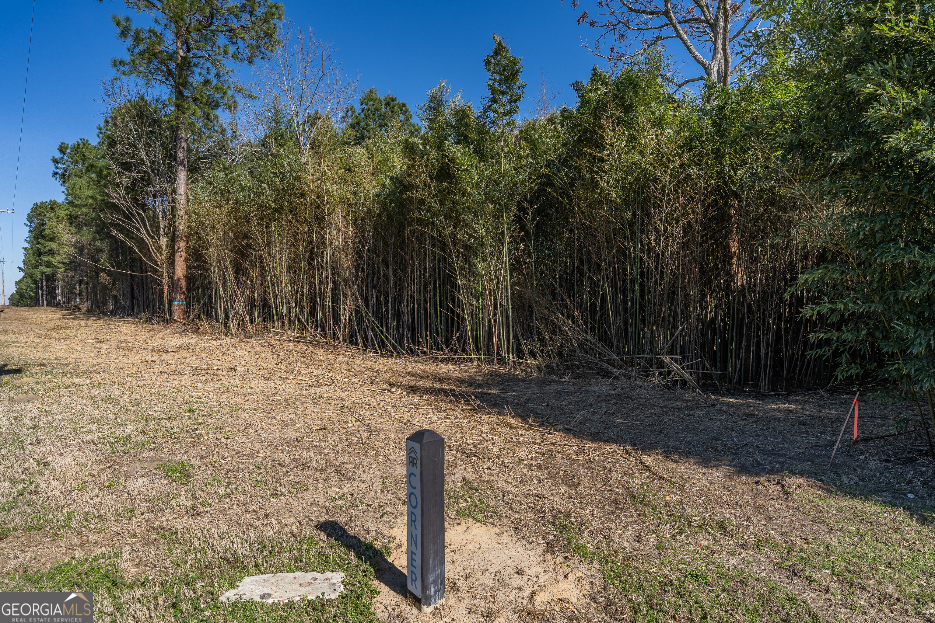 Lot 1 Ben Giddens Road Property Photo 7