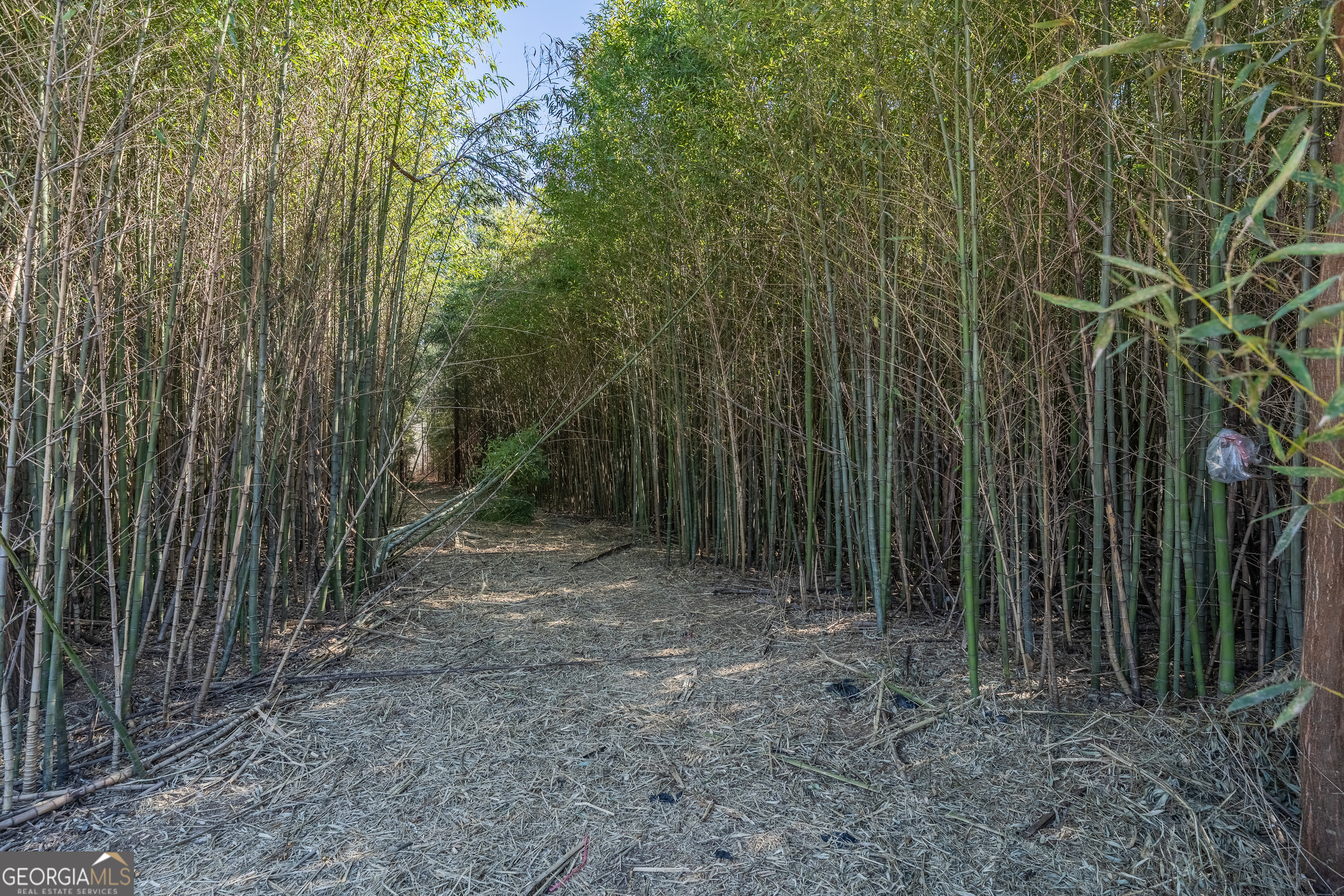 Lot 1 Ben Giddens Road Property Photo 8