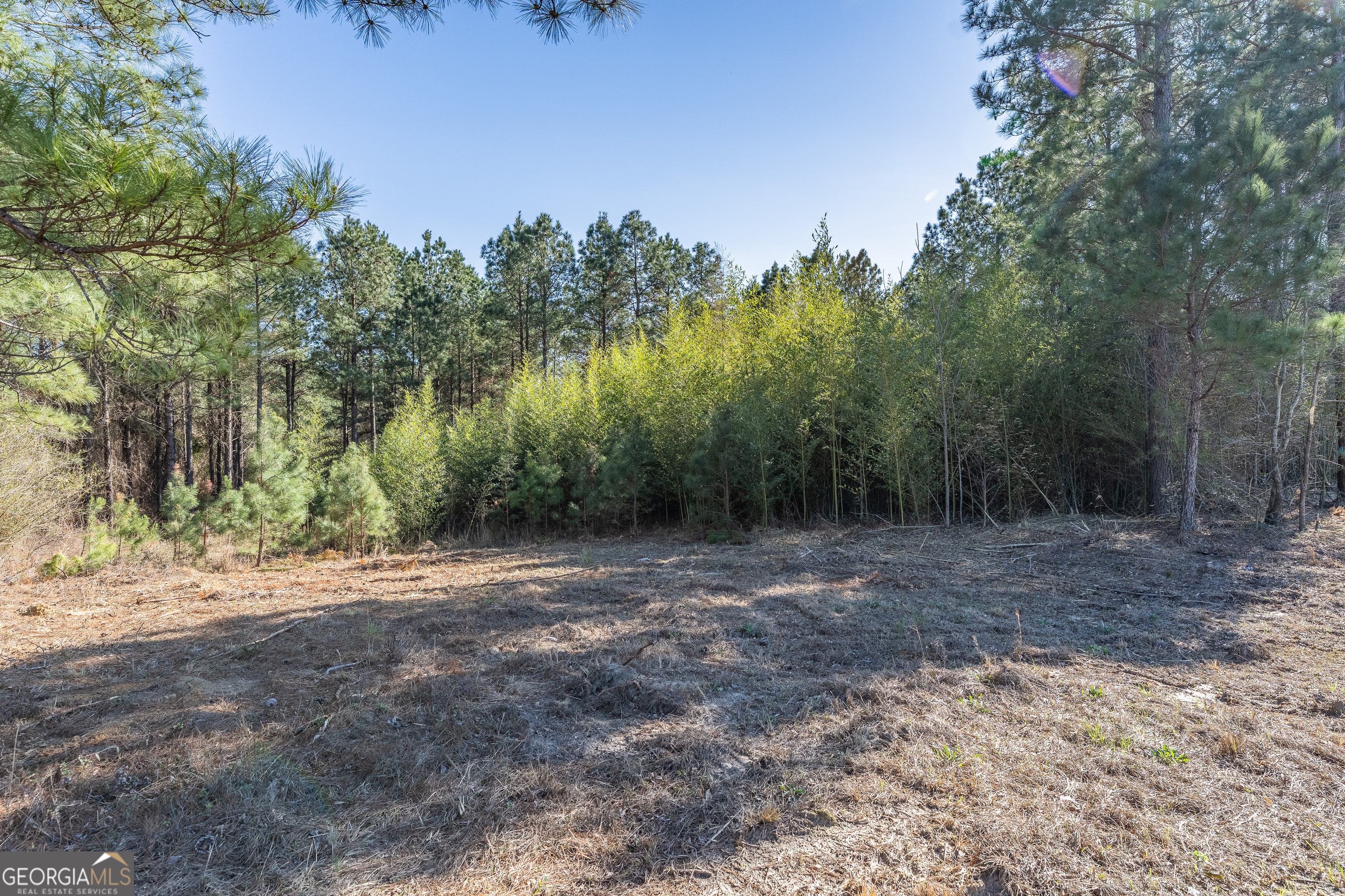 Lot 1 Ben Giddens Road Property Photo 9