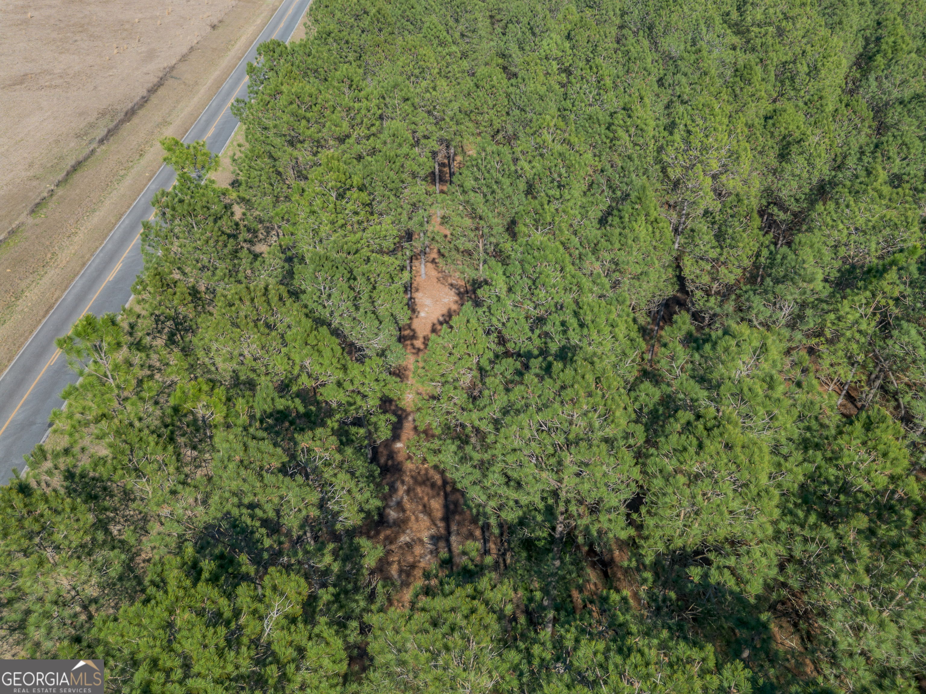 Lot 2 Ben Giddens Road Property Photo 6