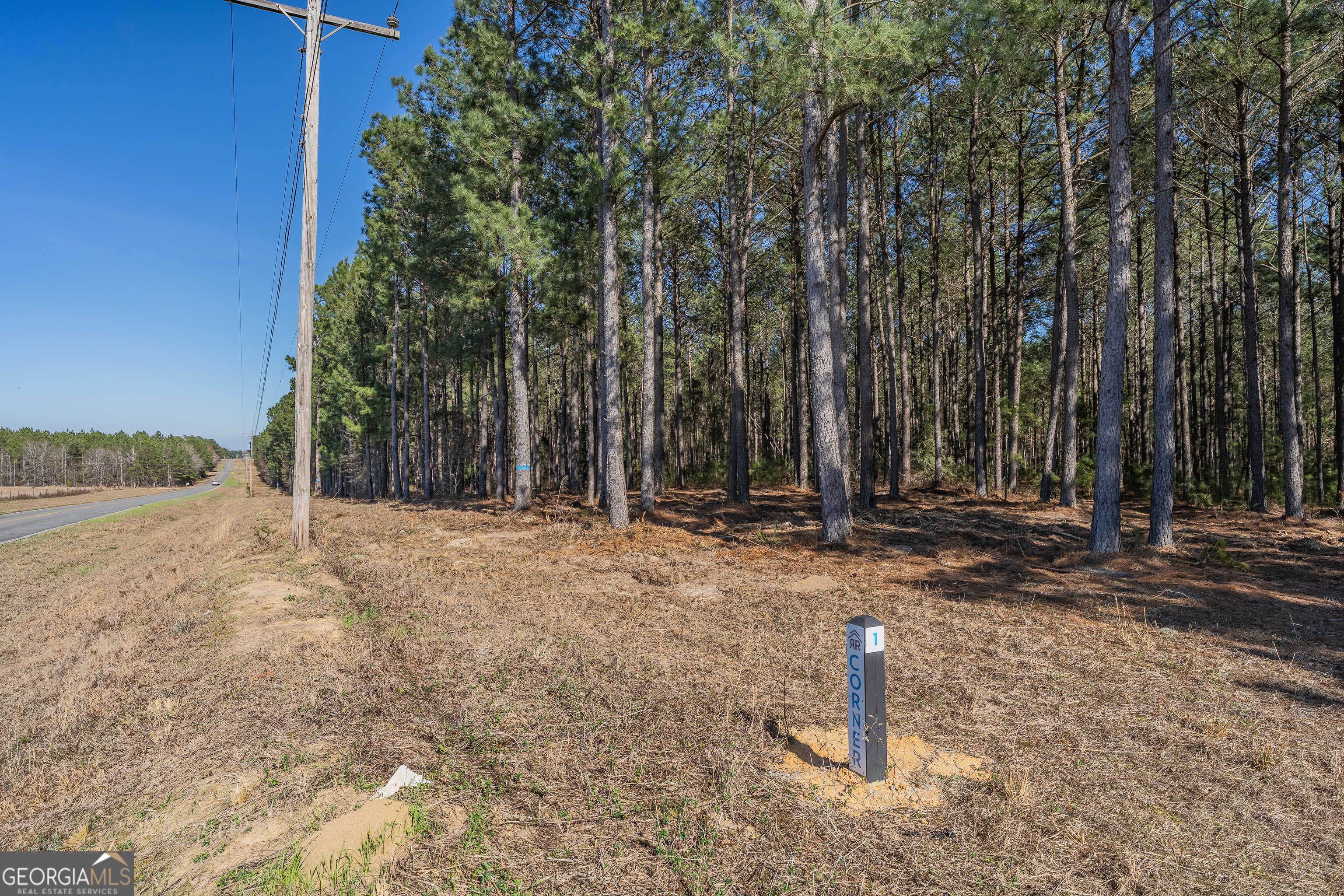 Lot 2 Ben Giddens Road Property Photo 7