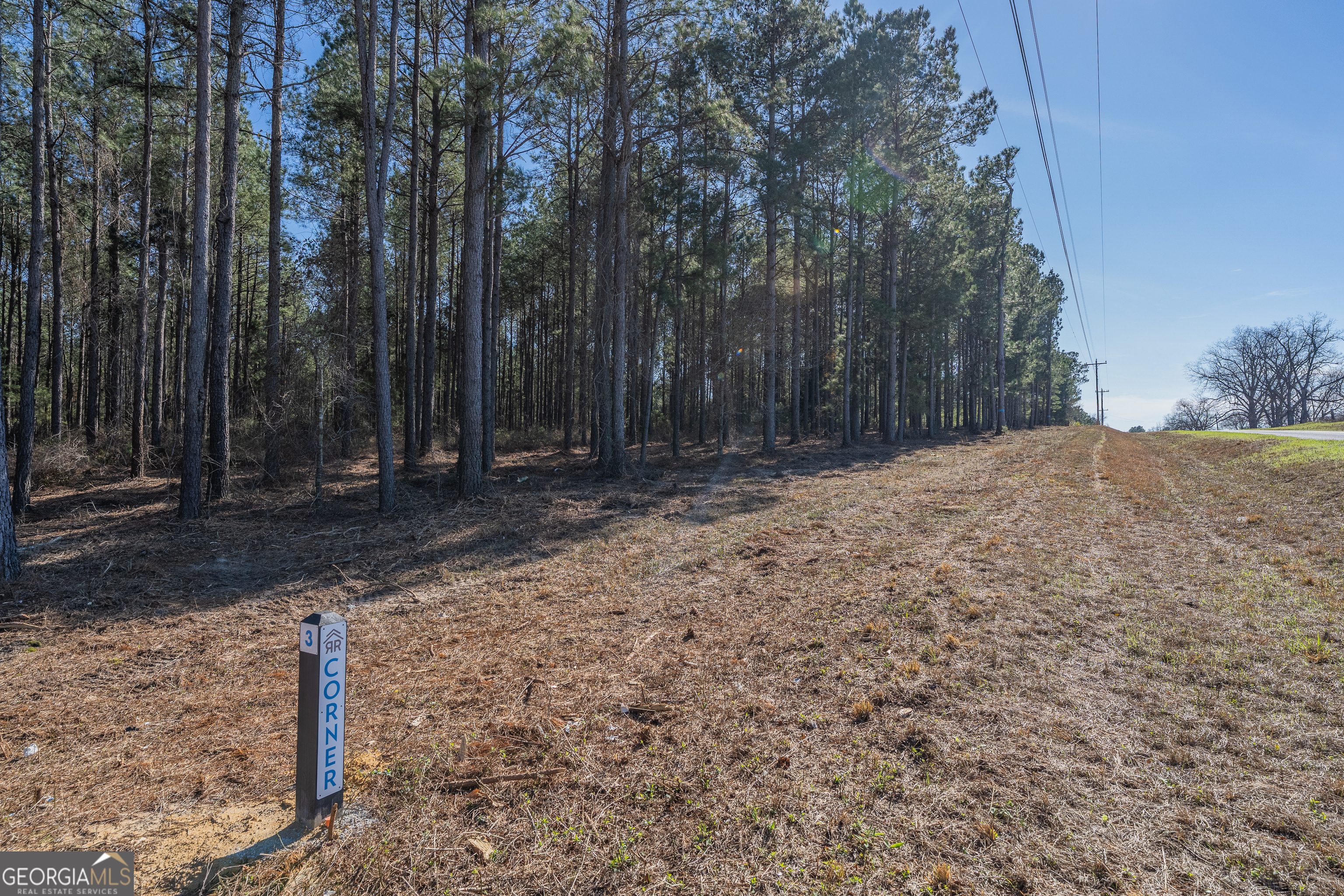 Lot 2 Ben Giddens Road Property Photo 8