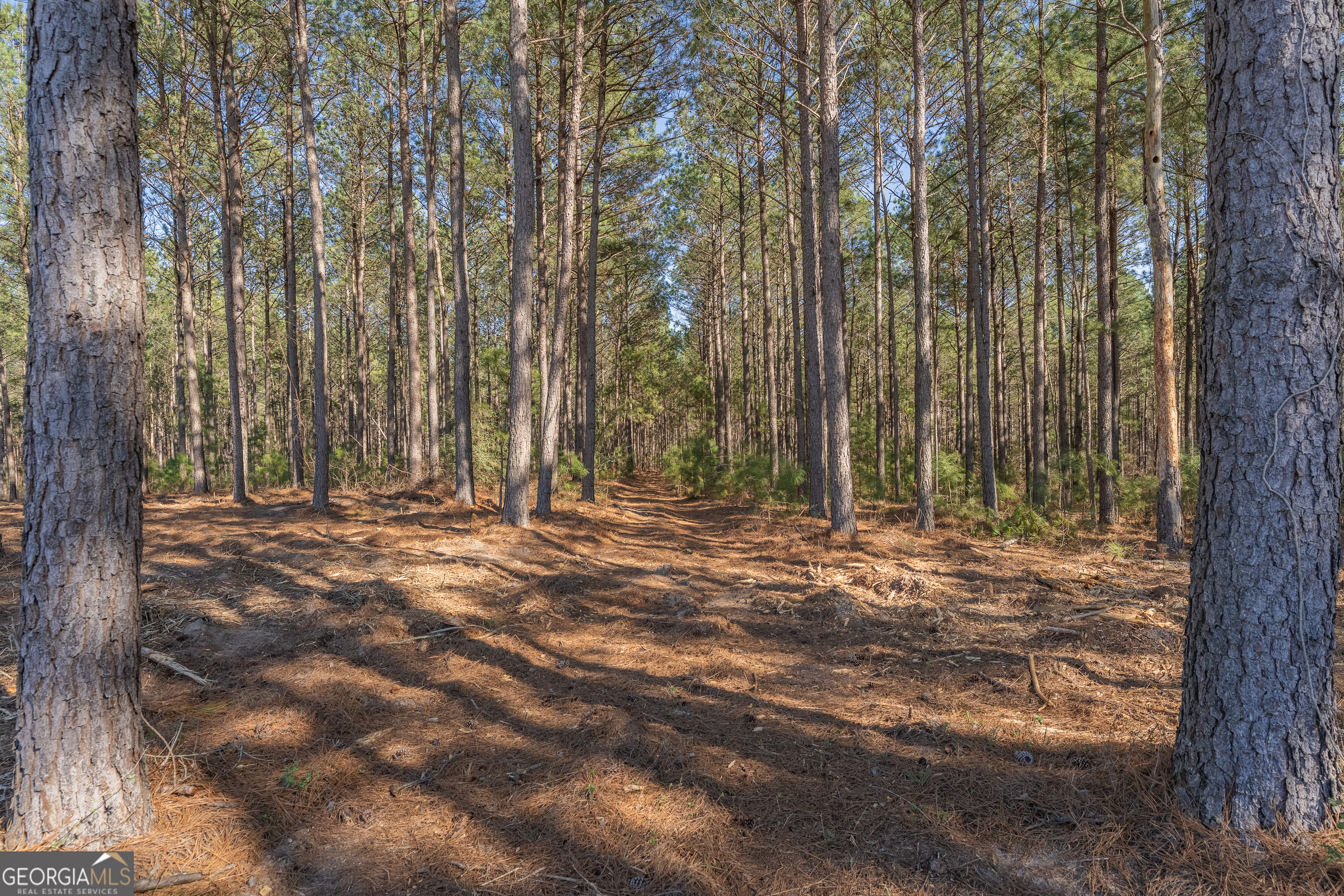 Lot 2 Ben Giddens Road Property Photo 9