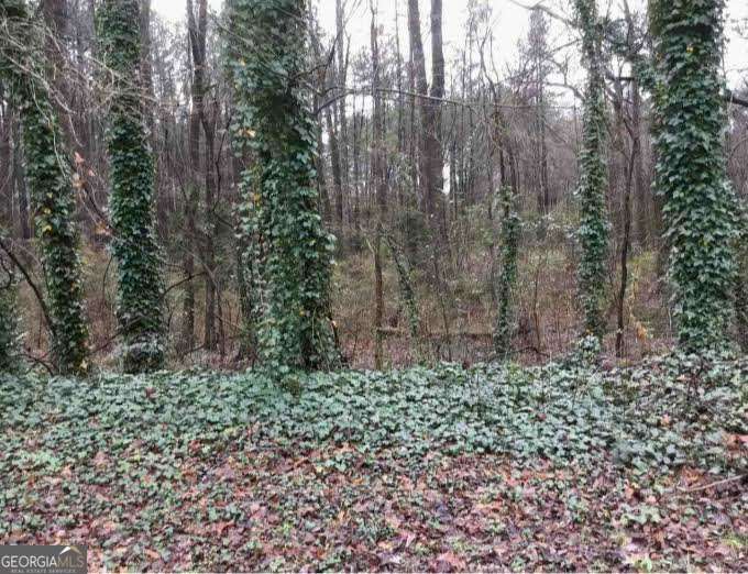 2115 Logan Drive Property Photo 4
