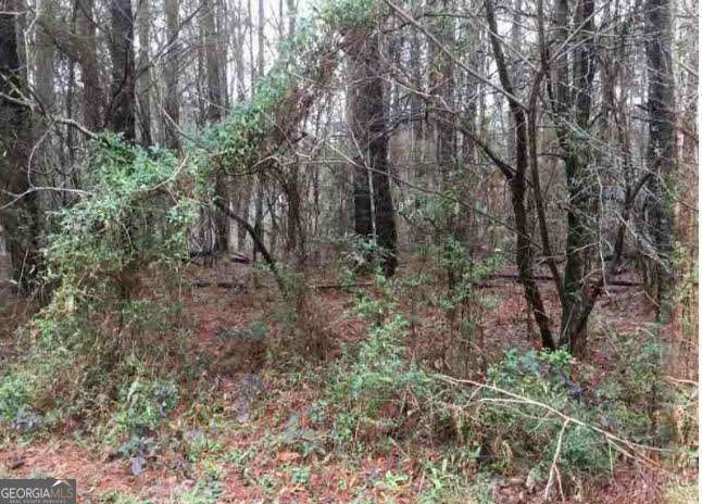 2115 Logan Drive Property Photo 5