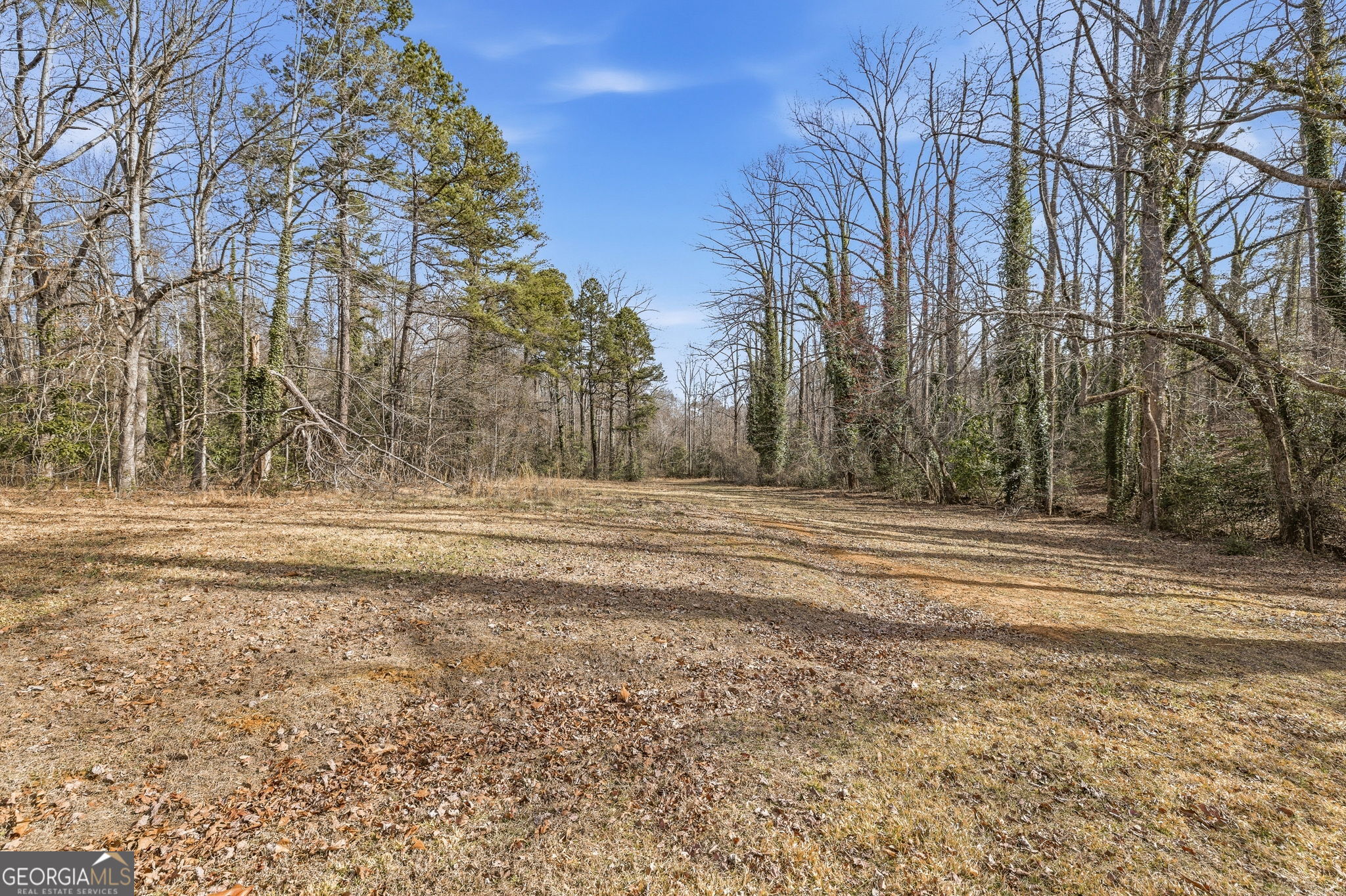 1046 Chase Road Property Photo 46