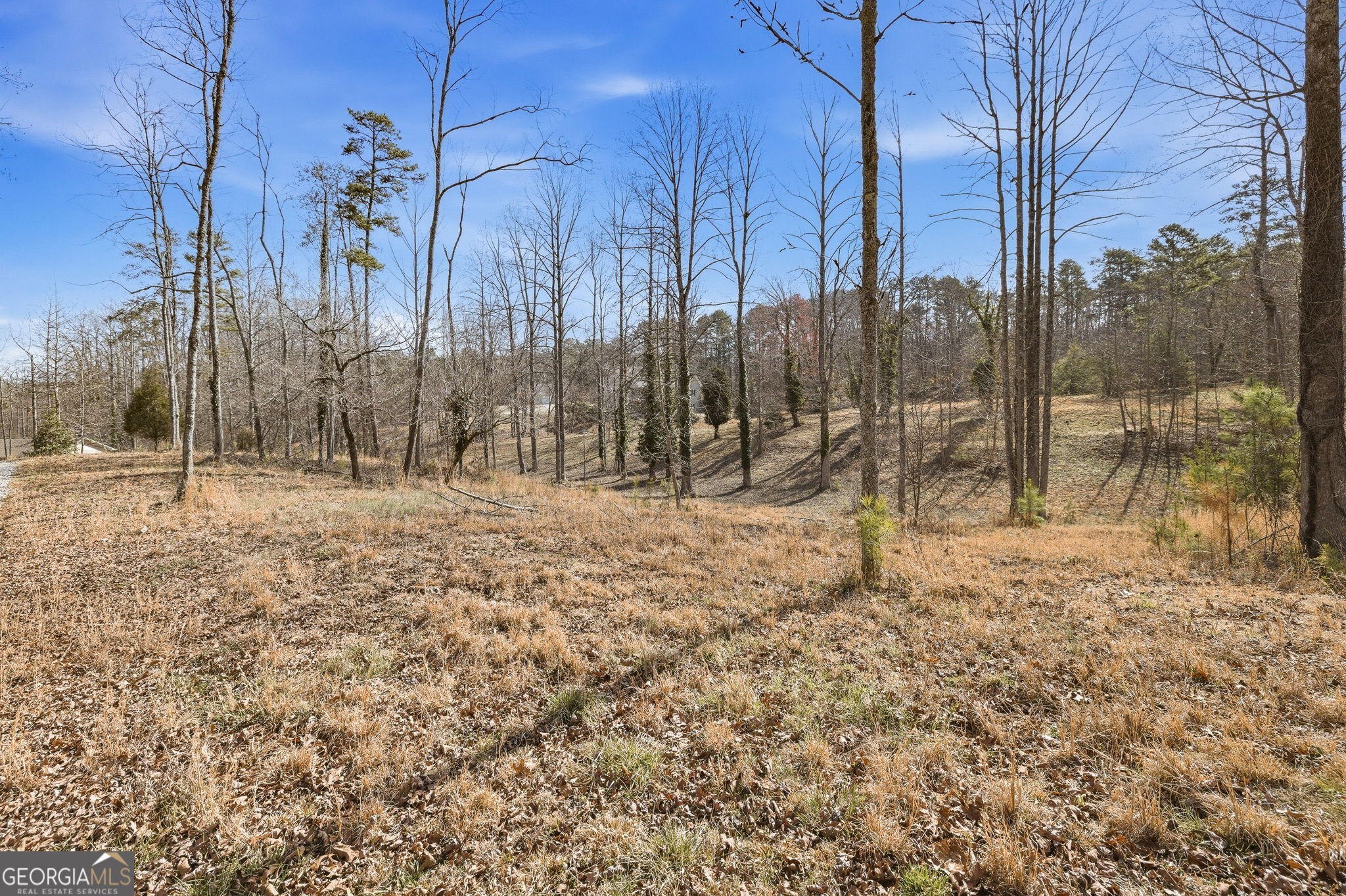 1046 Chase Road Property Photo 47
