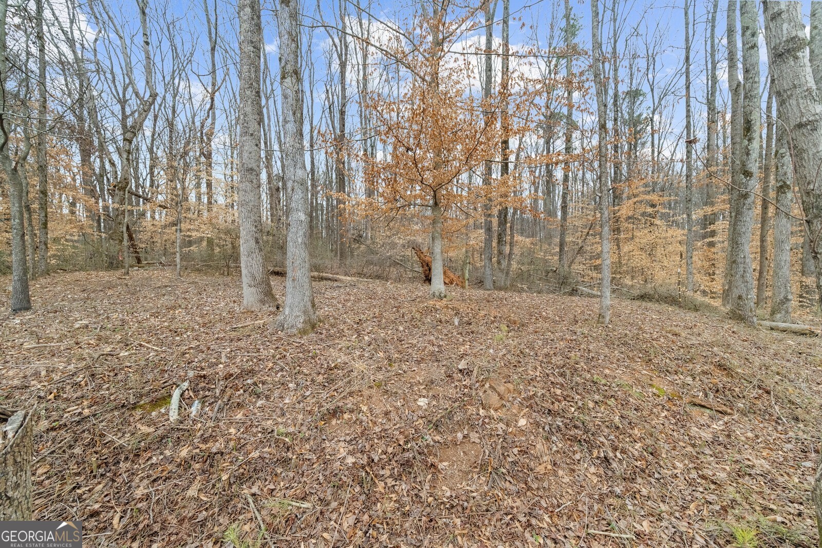 164 Aspen Hall Drive Property Photo 60