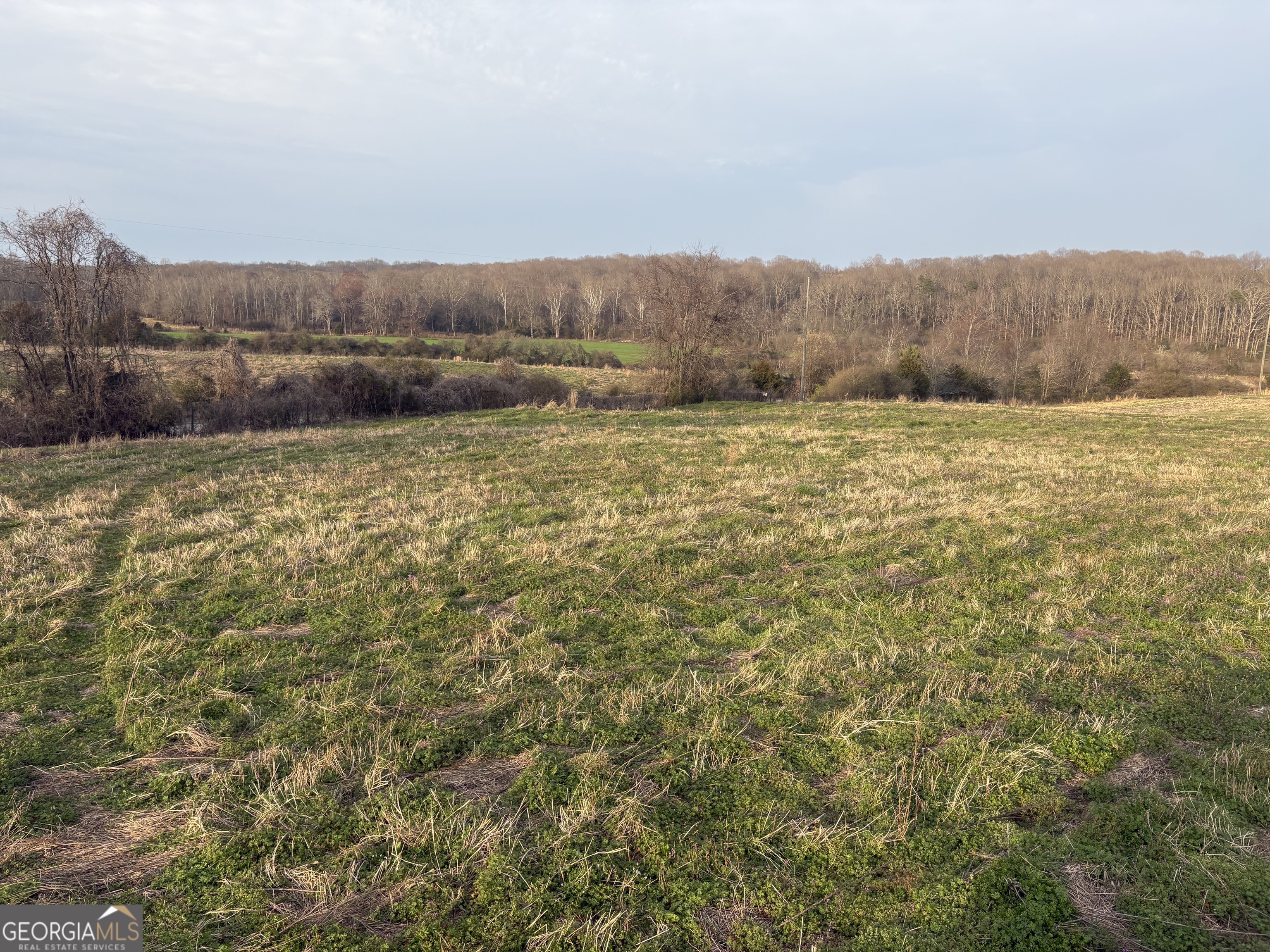 18 W L Williams Property Photo 1
