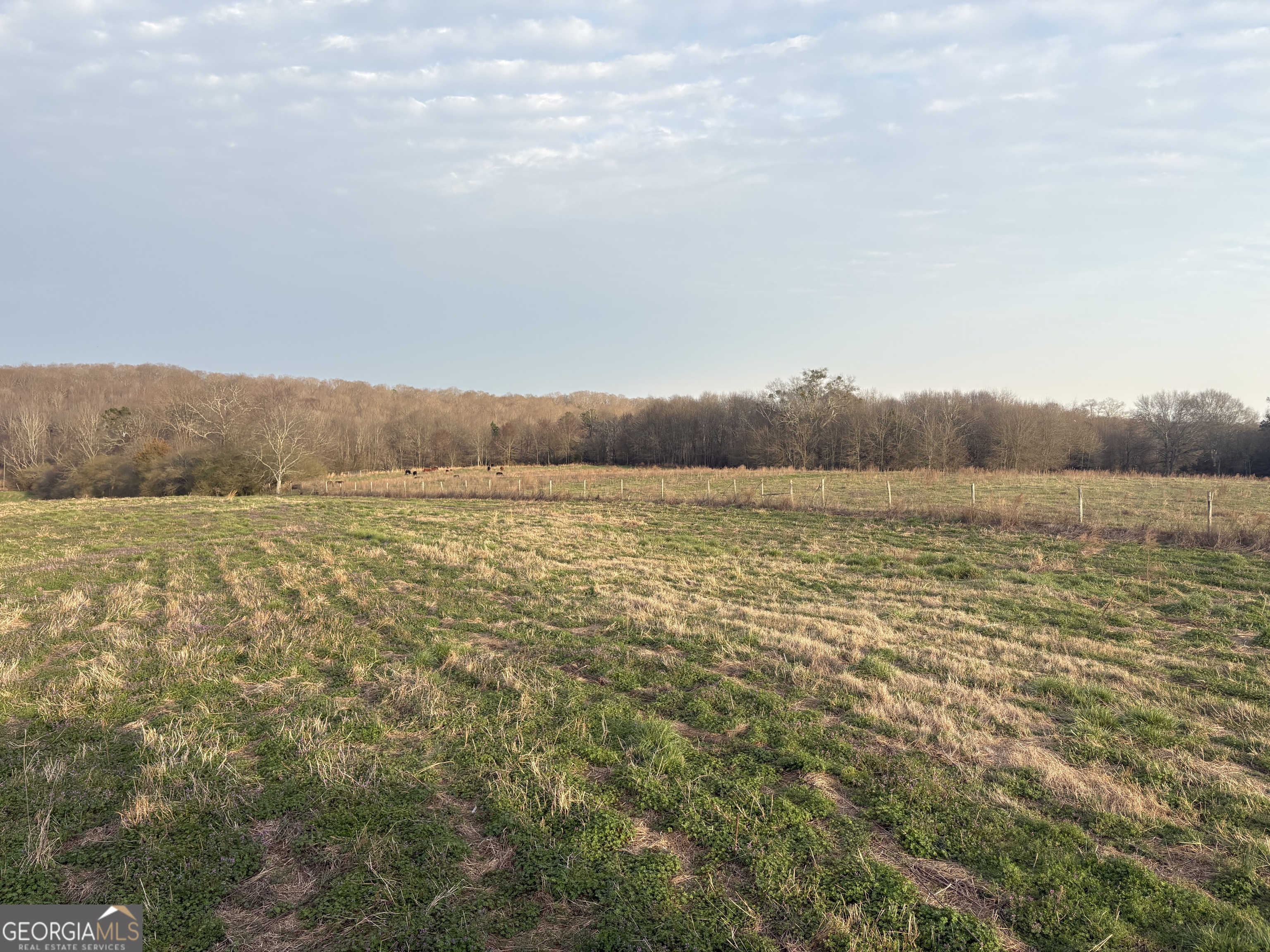 18 W L Williams Property Photo 4