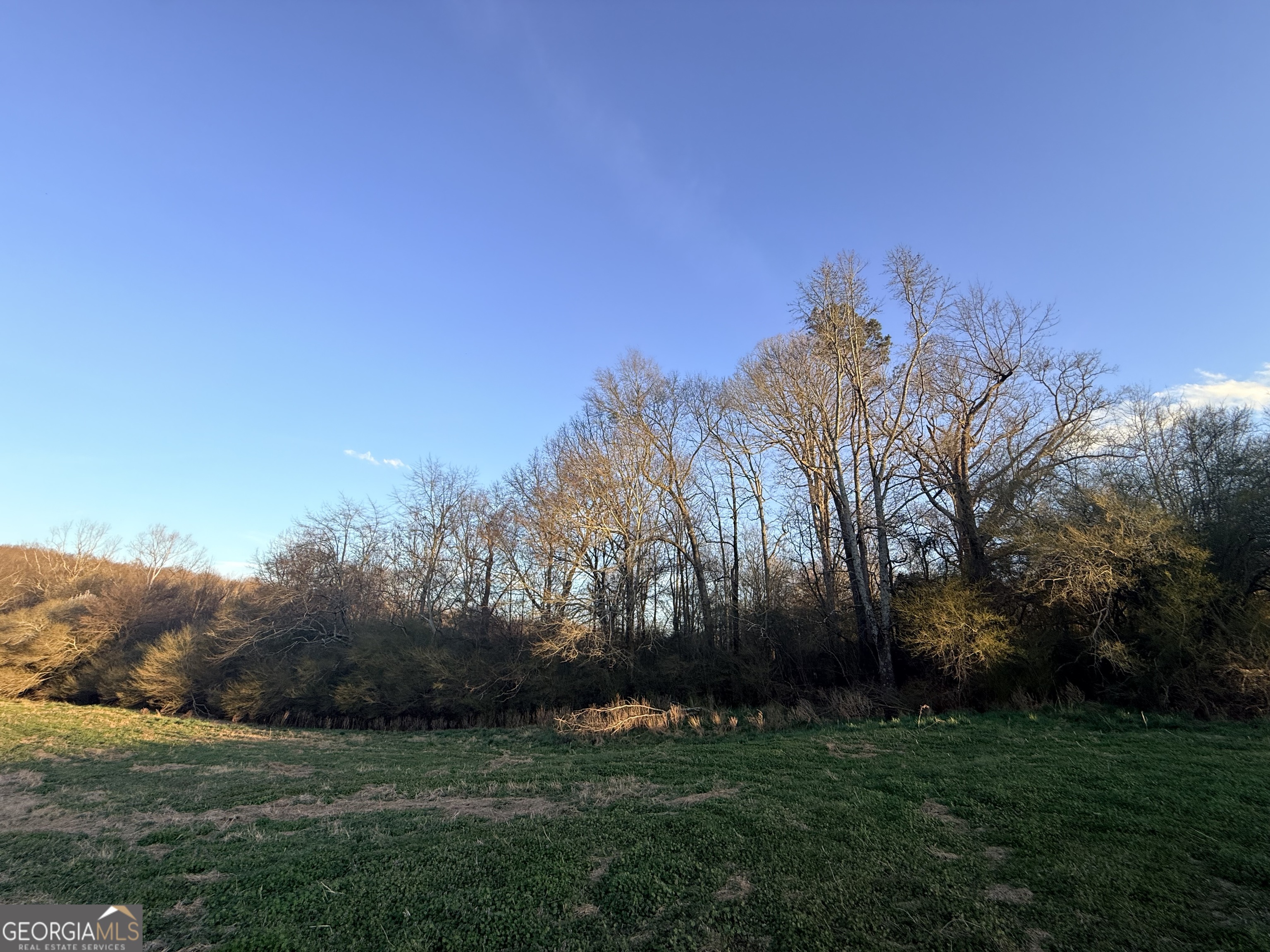 18 W L Williams Property Photo 6