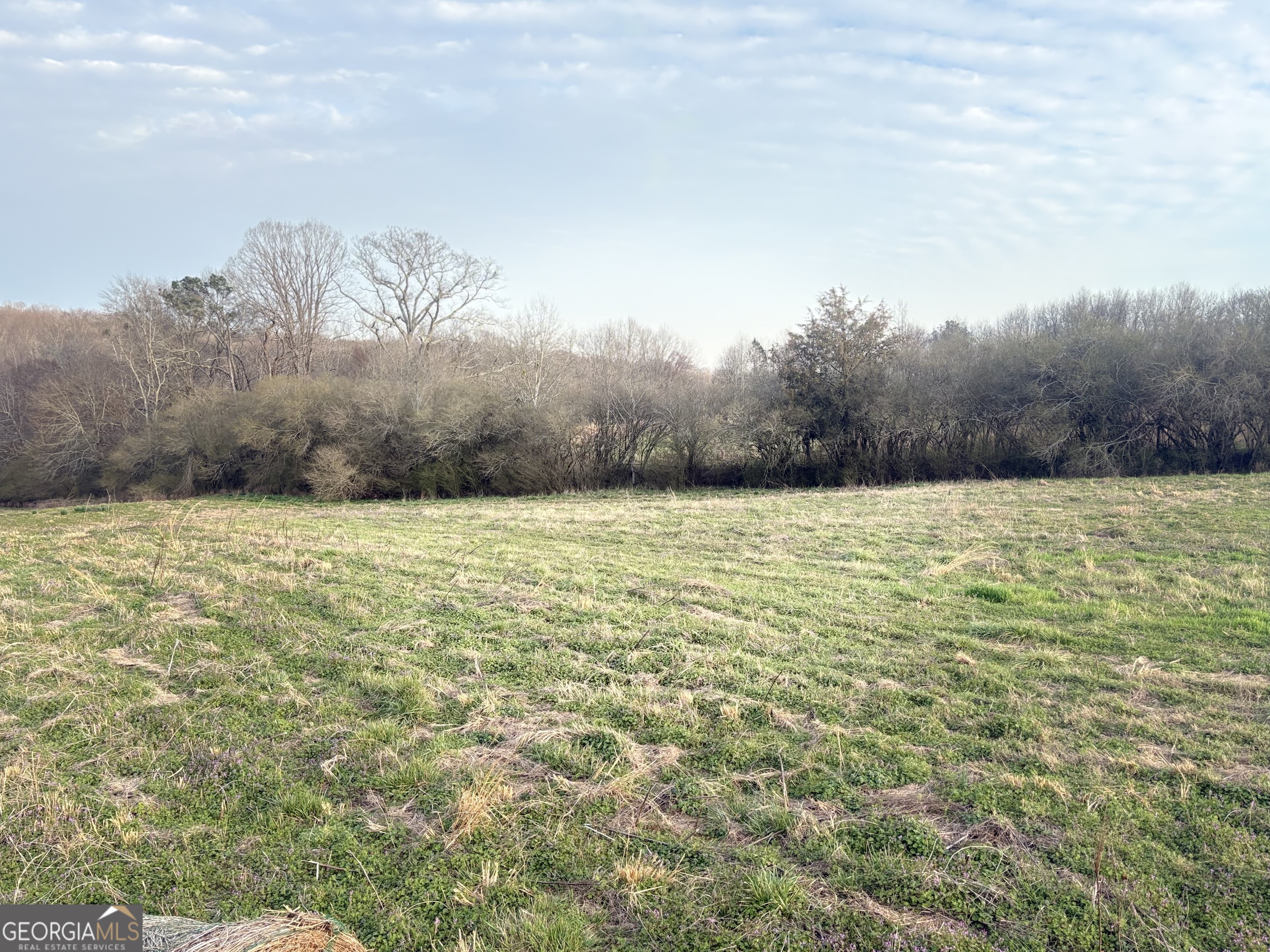 18 W L Williams Property Photo 12