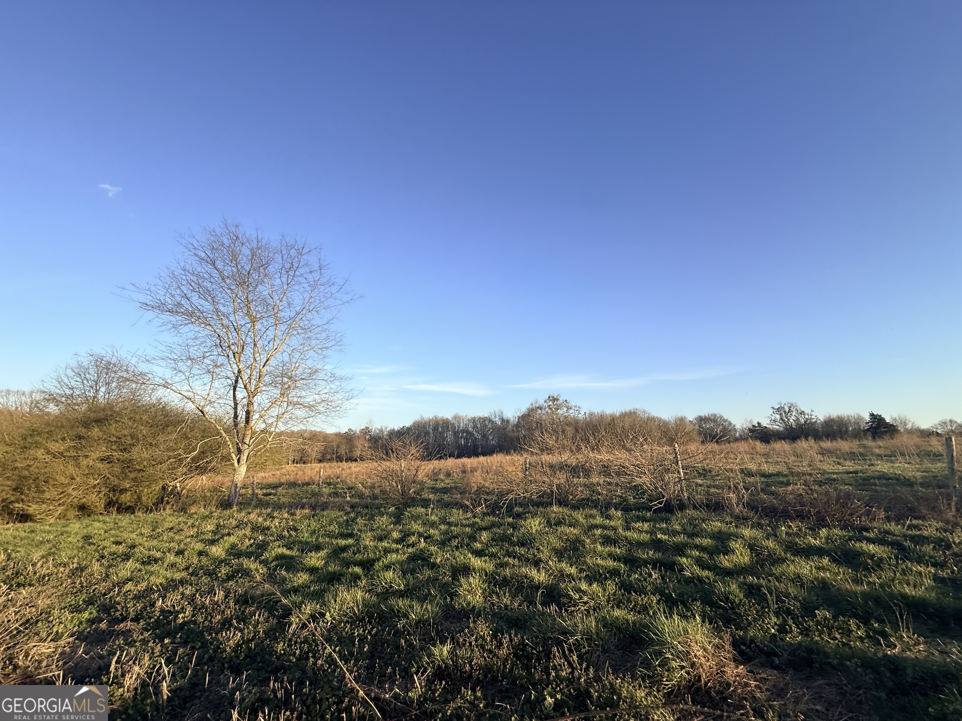 18 W L Williams Property Photo 18