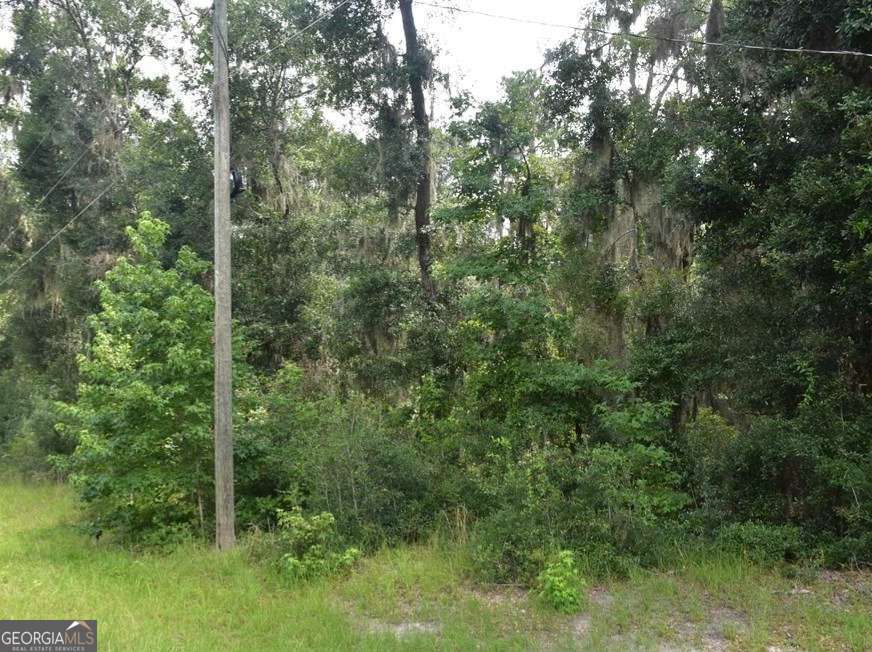 Lot 42 Japonica Drive Property Photo 1