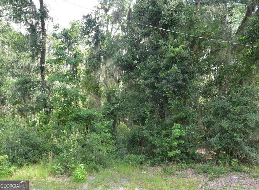 Lot 42 Japonica Drive Property Photo 2