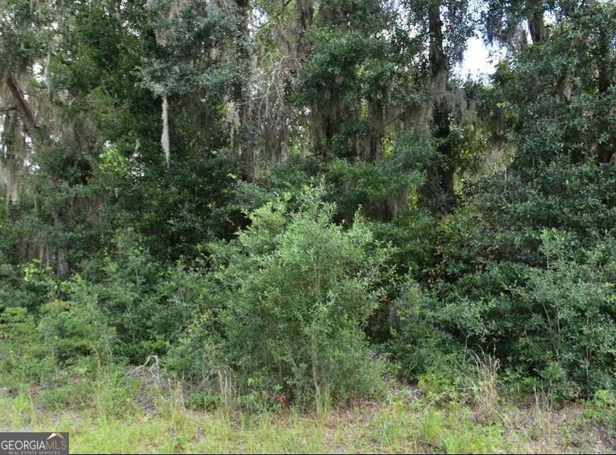 Lot 42 Japonica Drive Property Photo 3
