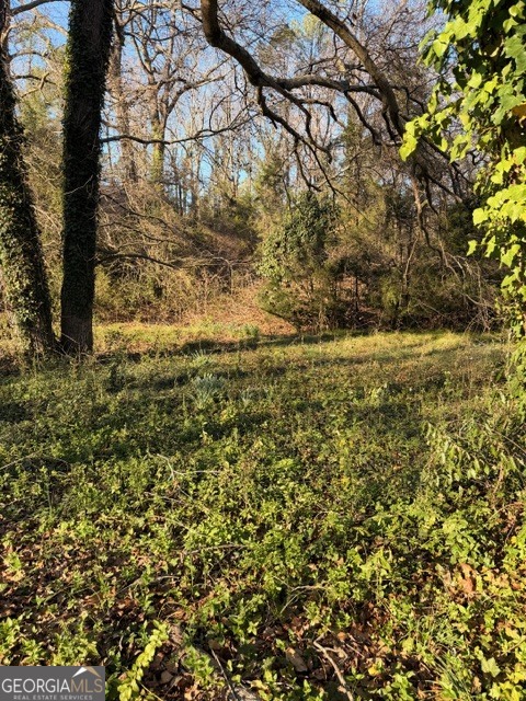 0 Brookwood Circle Property Photo 6