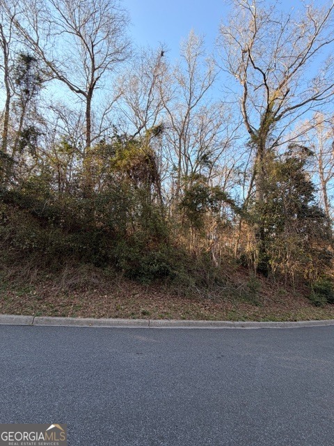 0 Brookwood Circle Property Photo 9