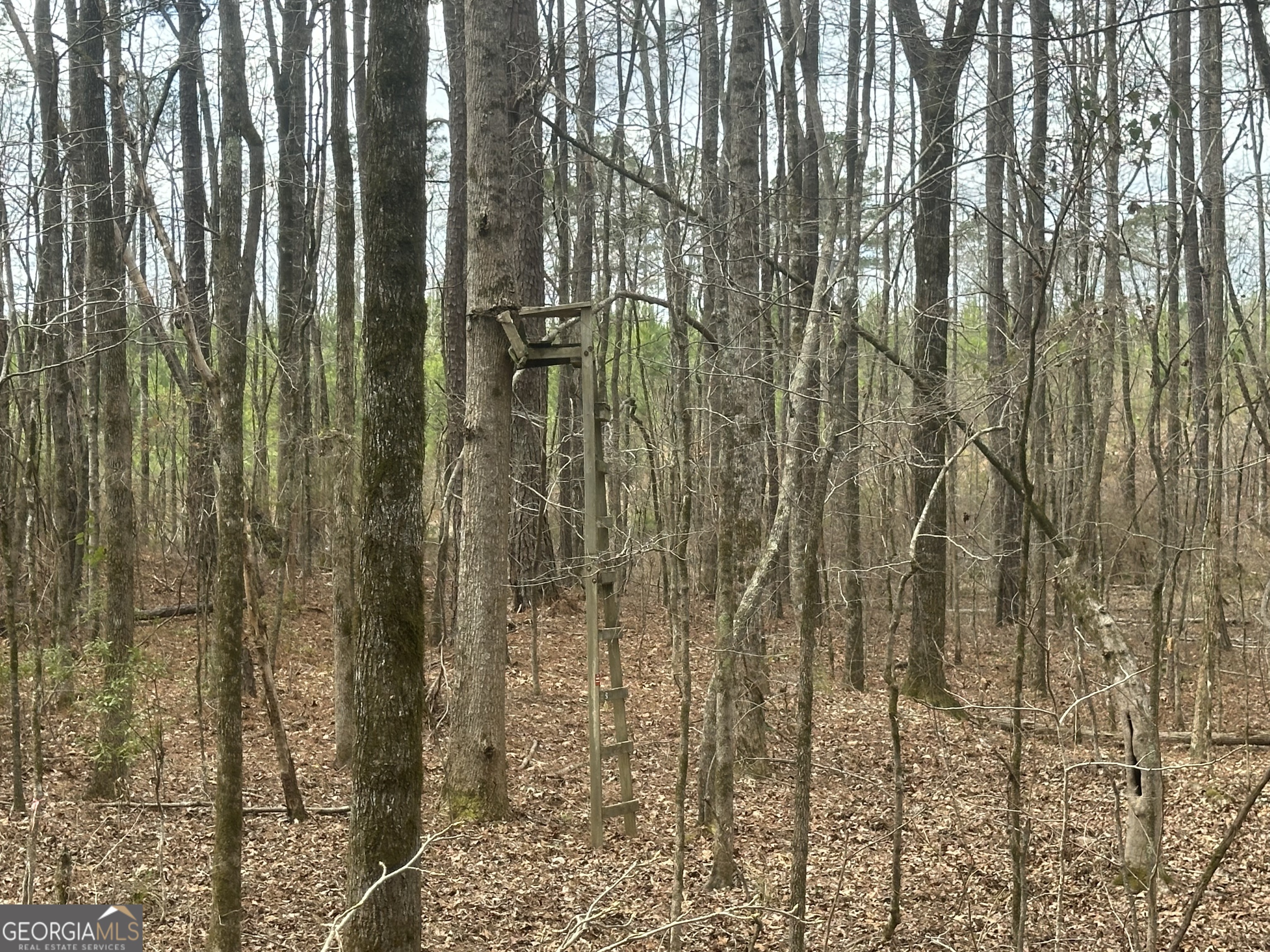 0 Gibson Road Property Photo 16