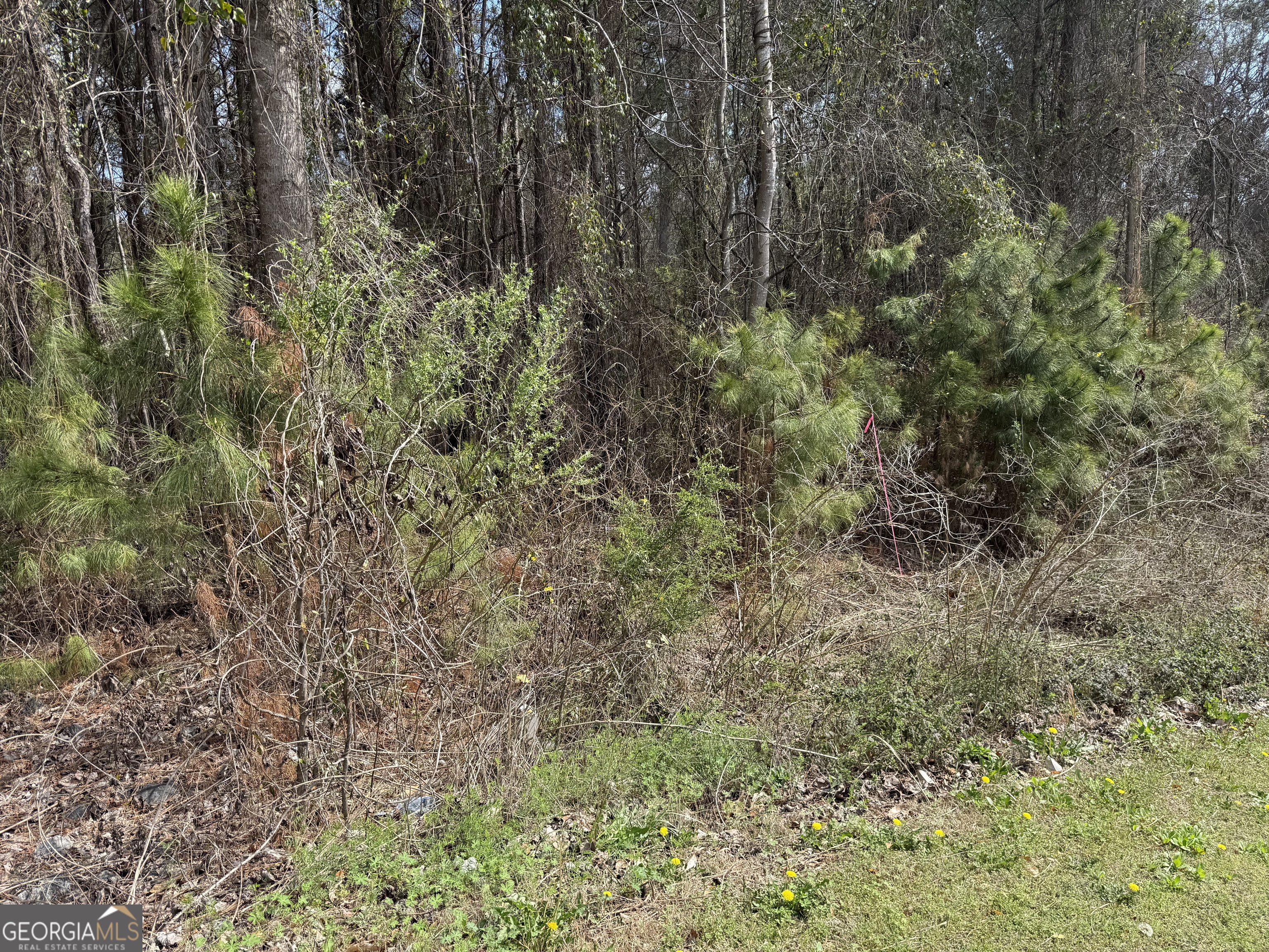0 Harbins Road Property Photo 1