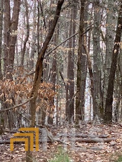 0 Bluff Road