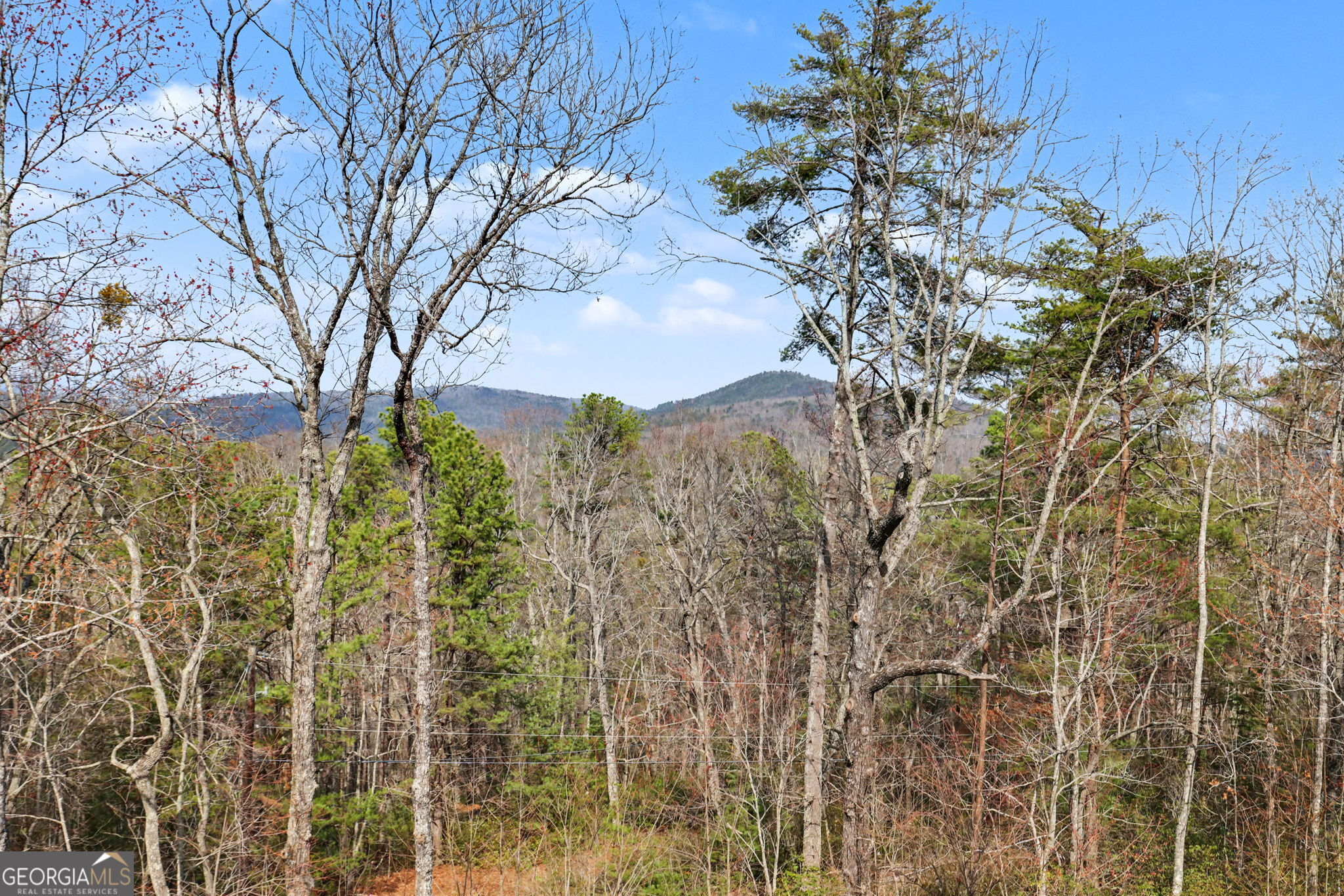 421 Hickory Nut Mtn Property Photo 24