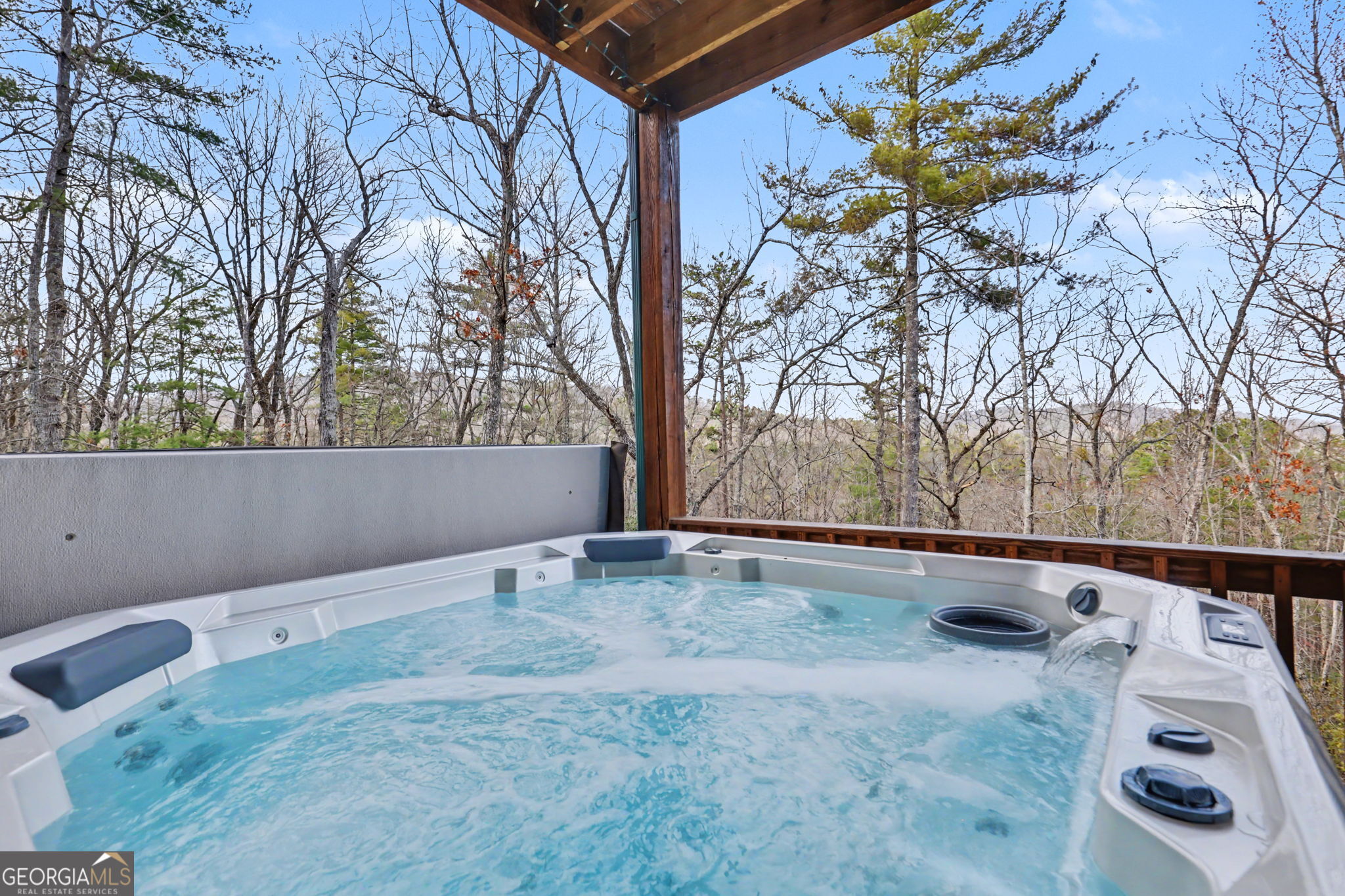 421 Hickory Nut Mtn Property Photo 52