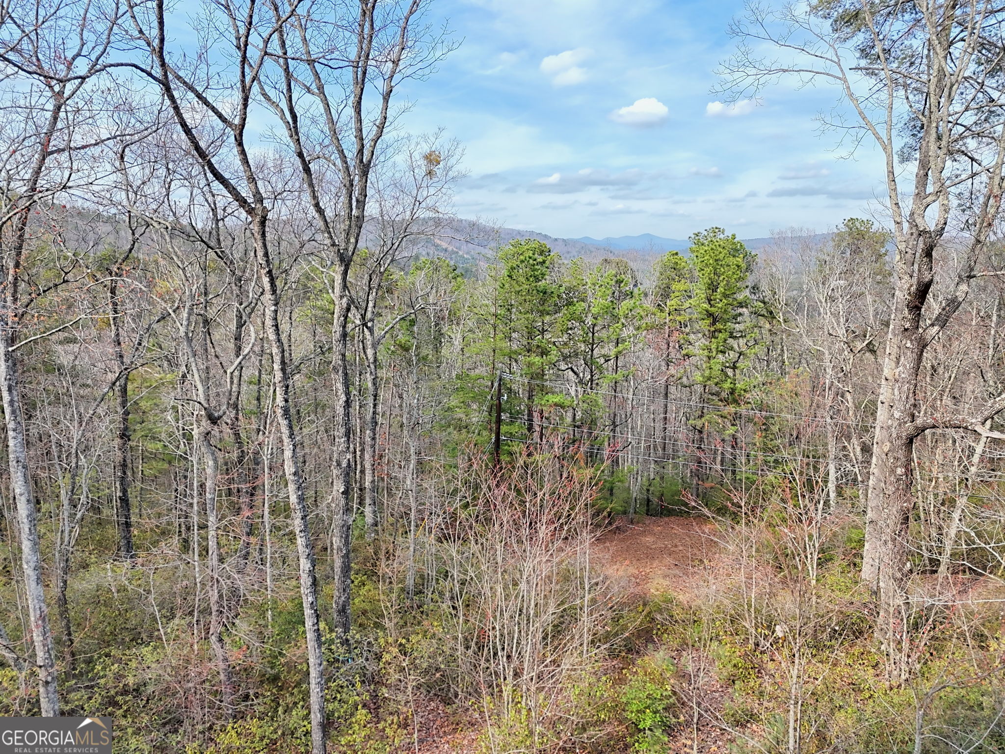 421 Hickory Nut Mtn Property Photo 56