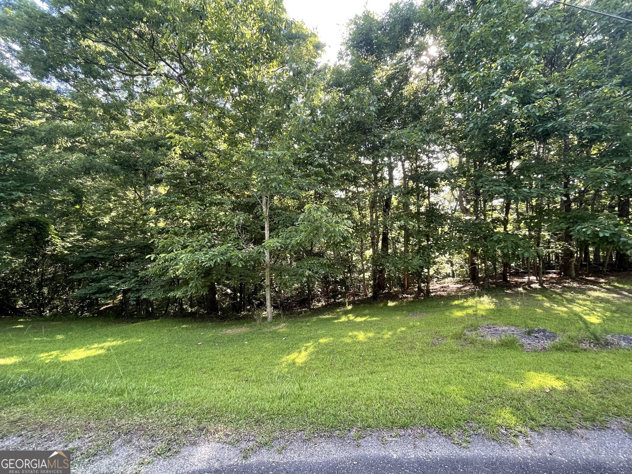 Lot 10 Olivia Lane Property Photo 1