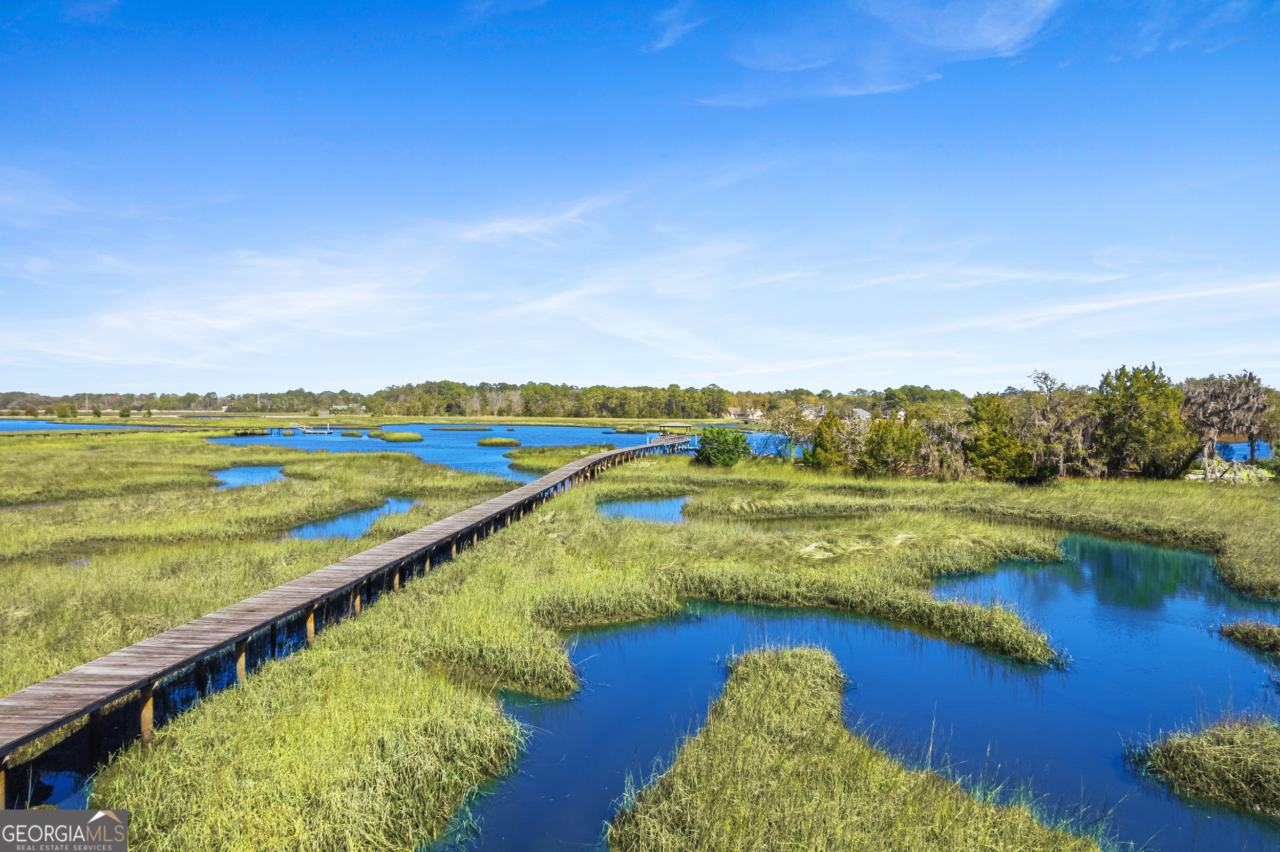 203 Salt Grass Trace Property Photo 63