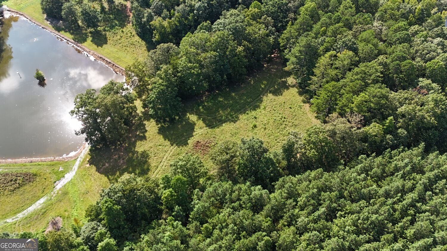 LOT 1 Snote Jones Road Property Photo 1