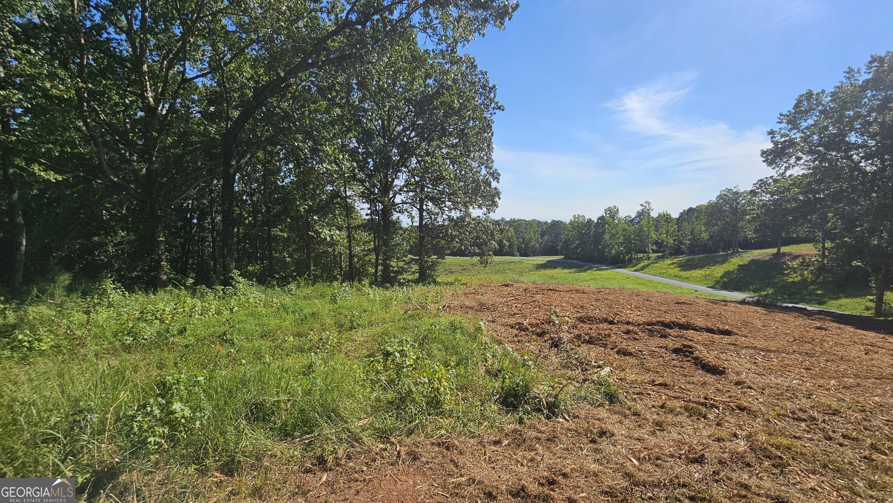 Lot 2 Snote Jones Road Property Photo 2