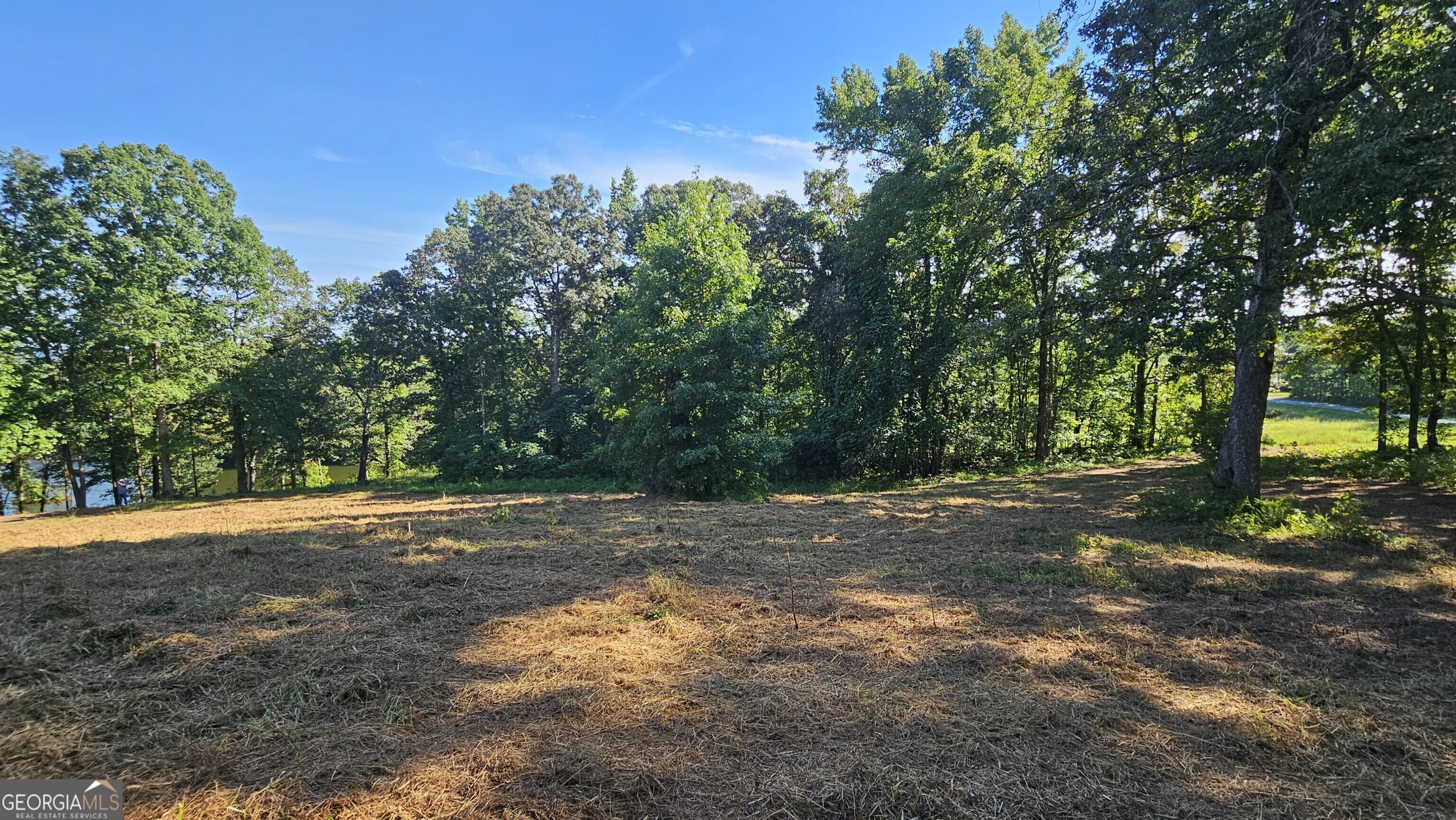 Lot 2 Snote Jones Road Property Photo 3