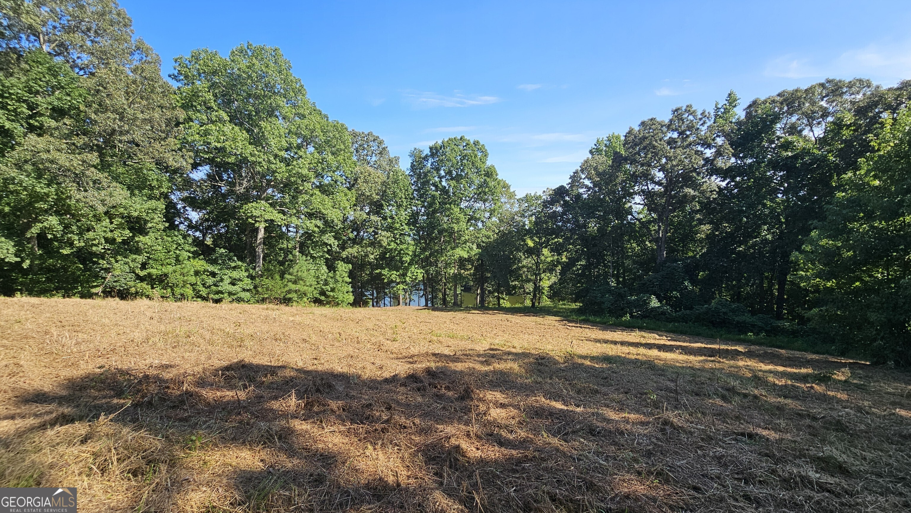Lot 2 Snote Jones Road Property Photo 15
