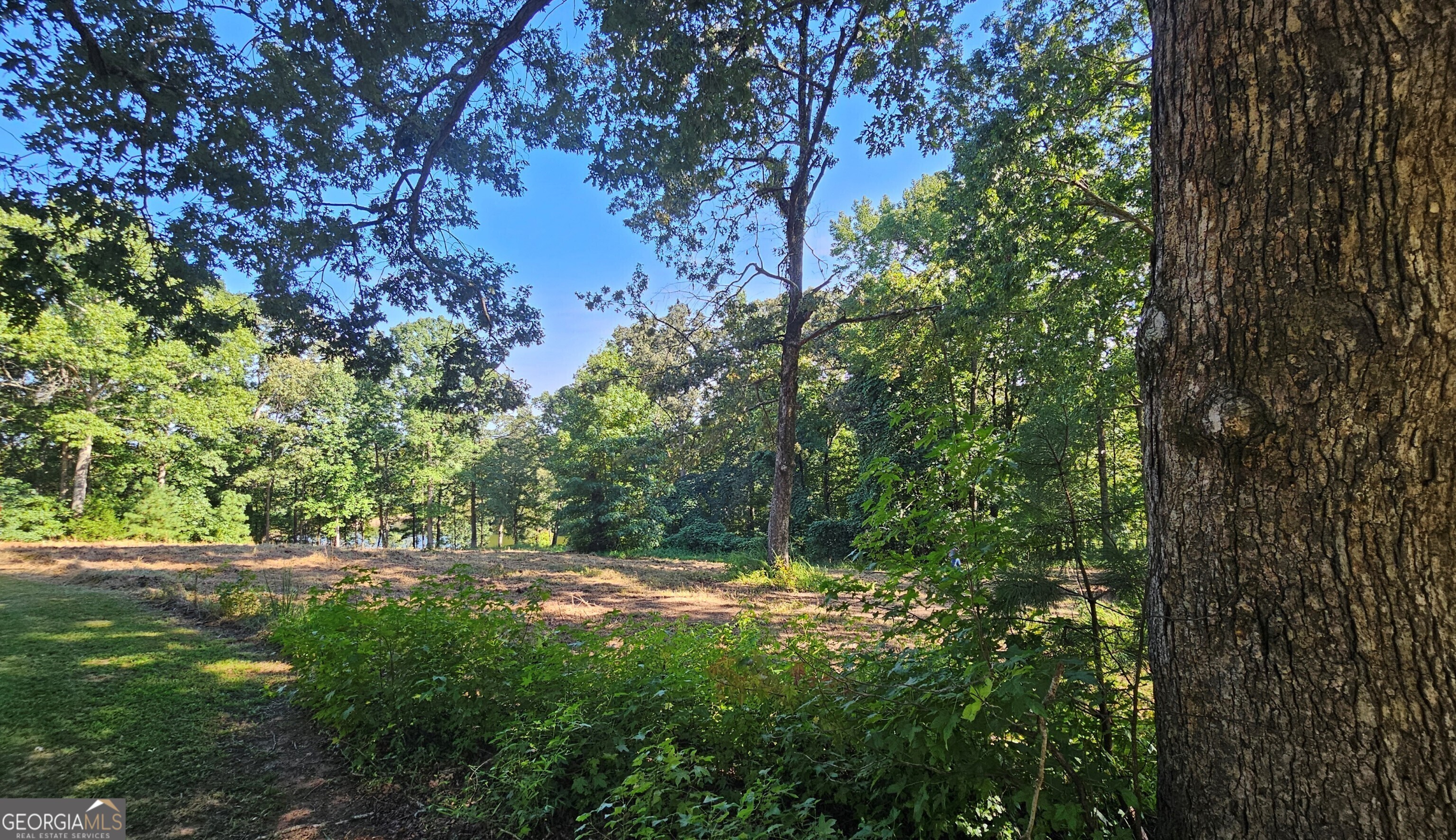Lot 2 Snote Jones Road Property Photo 16
