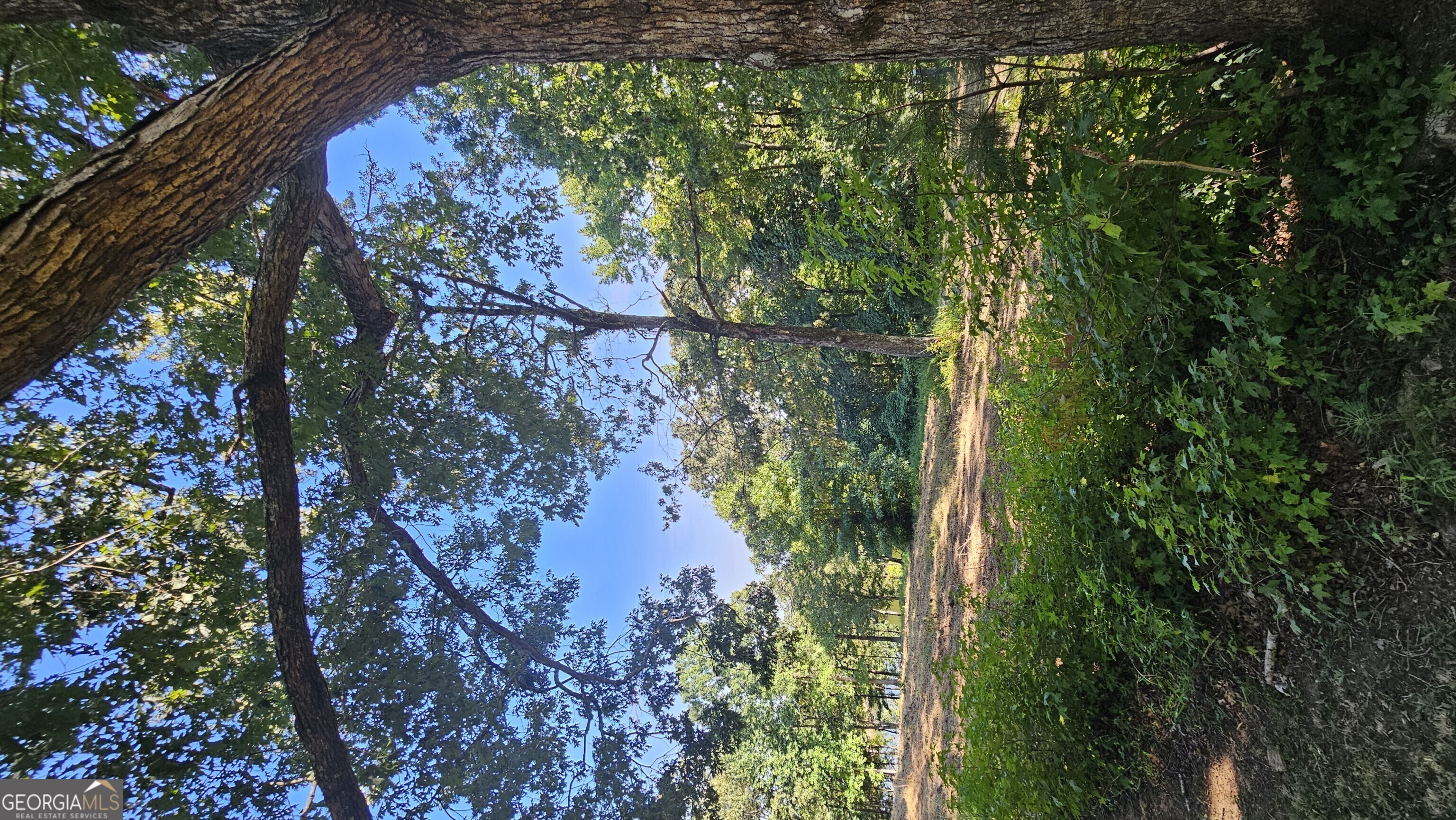 Lot 2 Snote Jones Road Property Photo 17