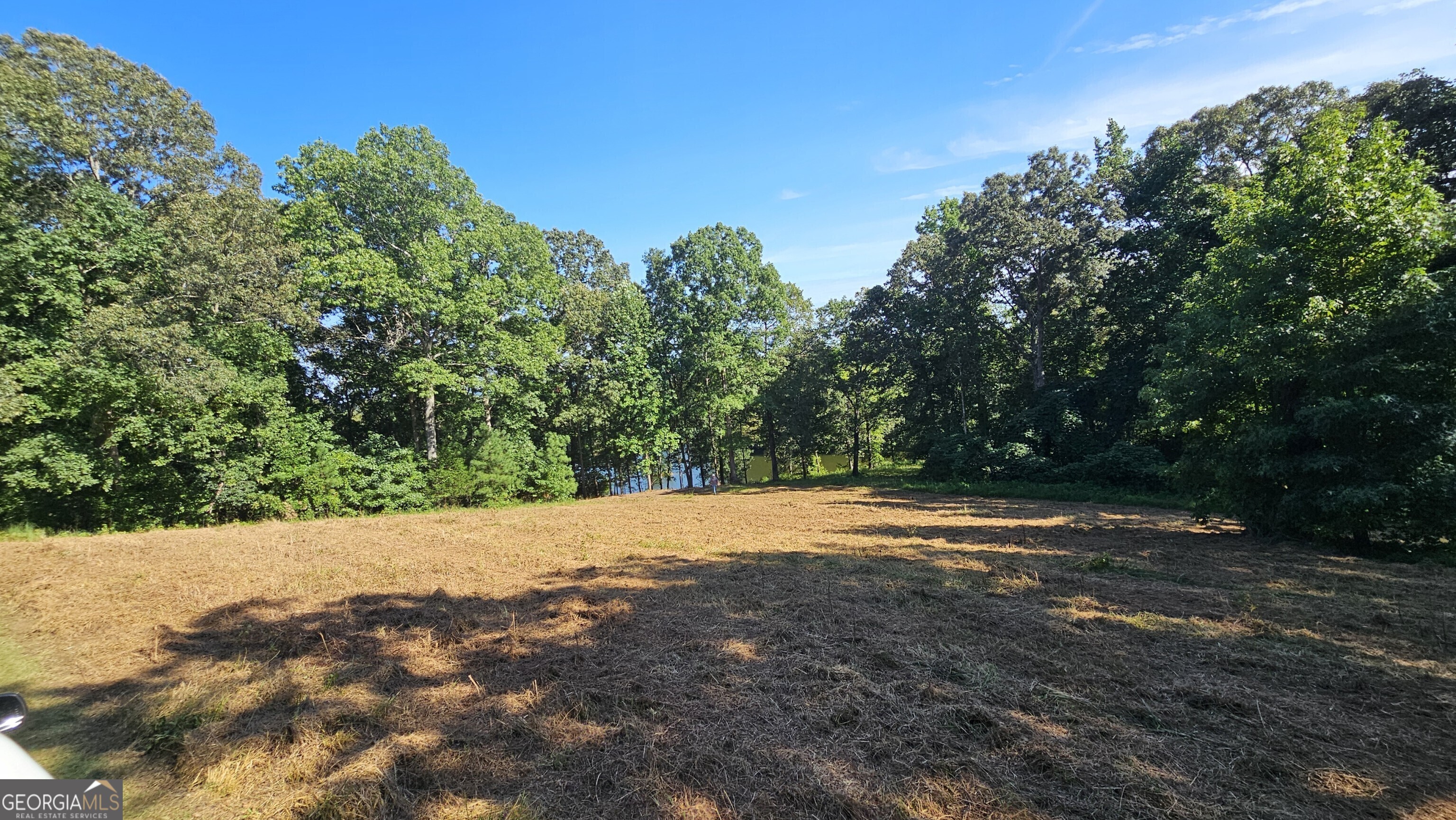 Lot 2 Snote Jones Road Property Photo 20