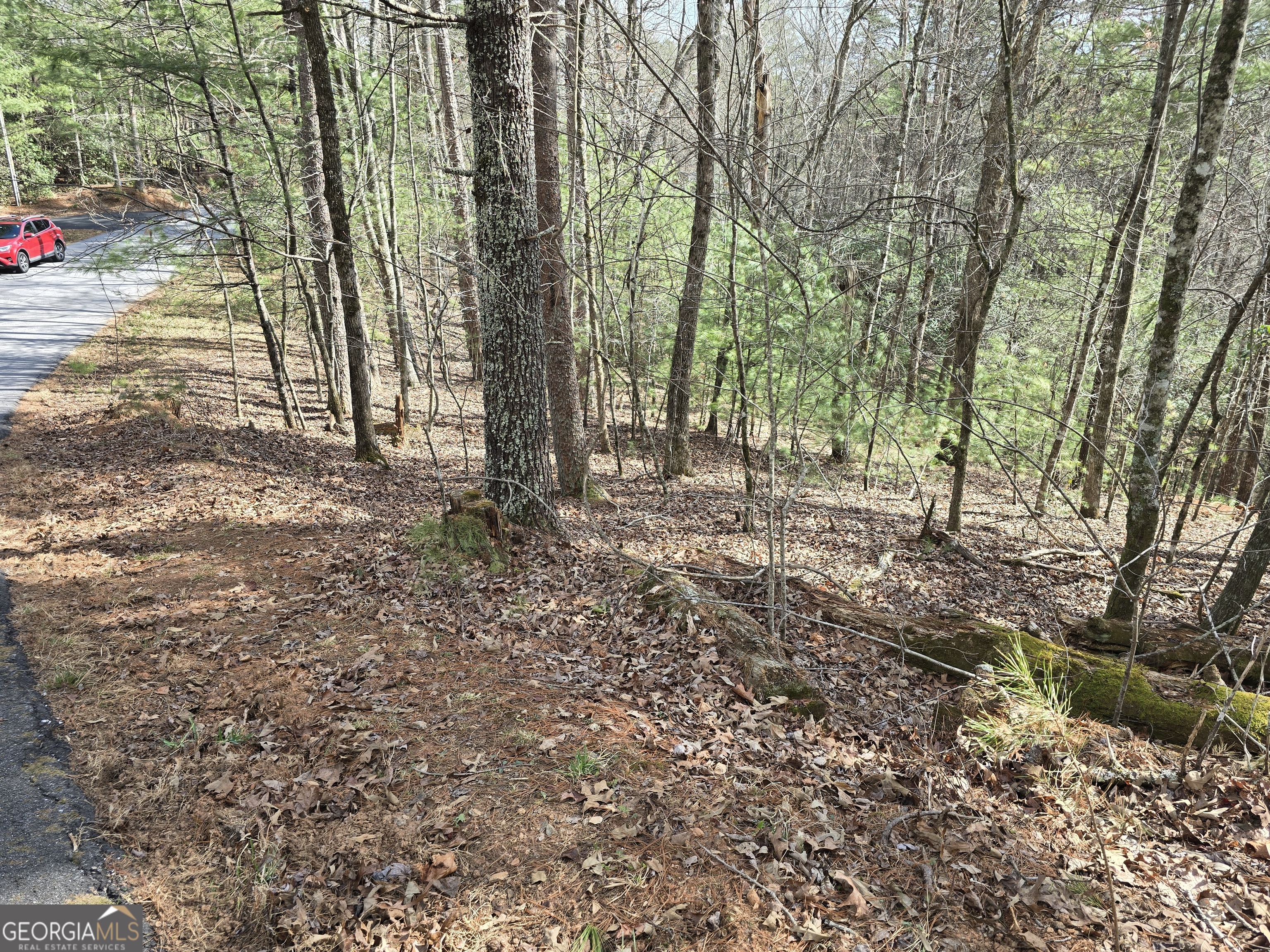 13l Sautee Trail Property Photo 1
