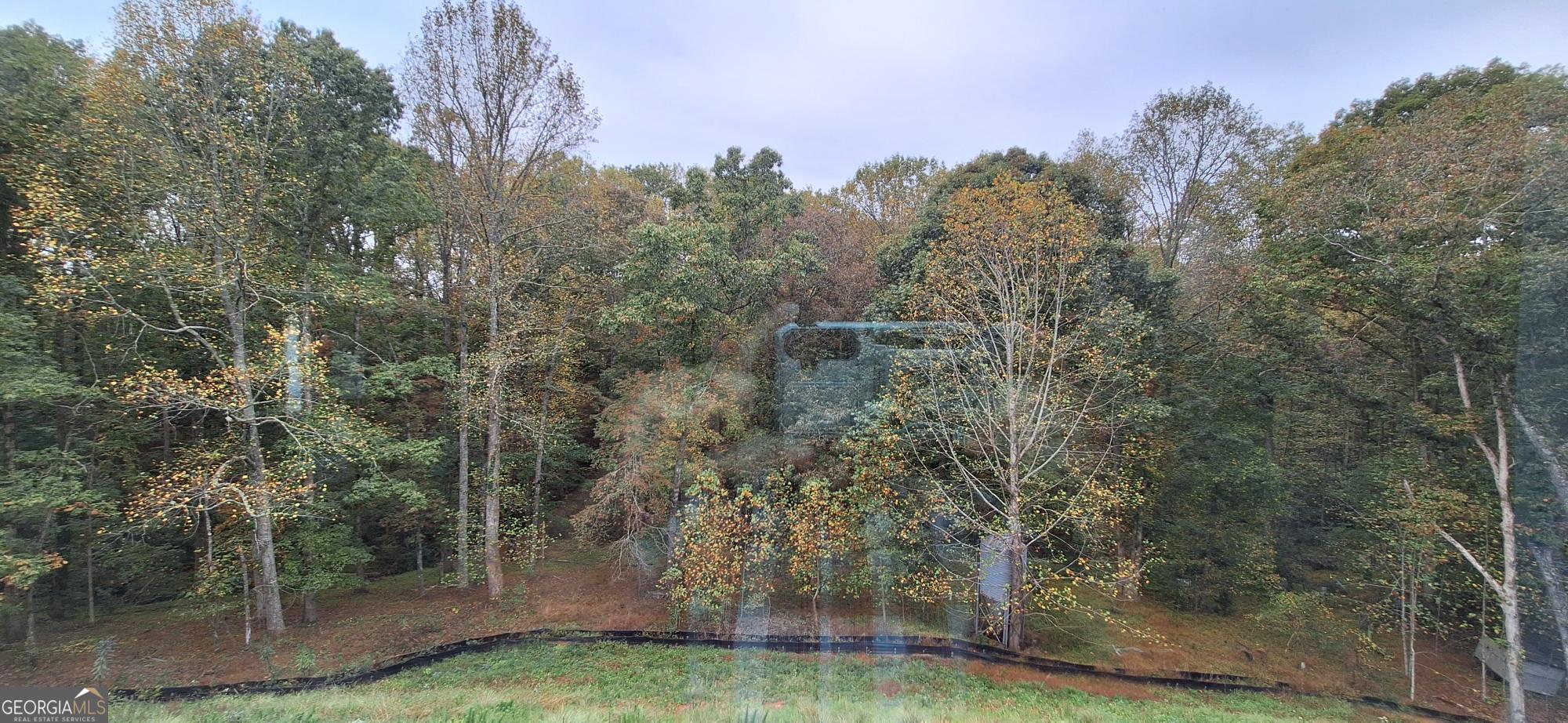 196 Trace Bluff Property Photo 52