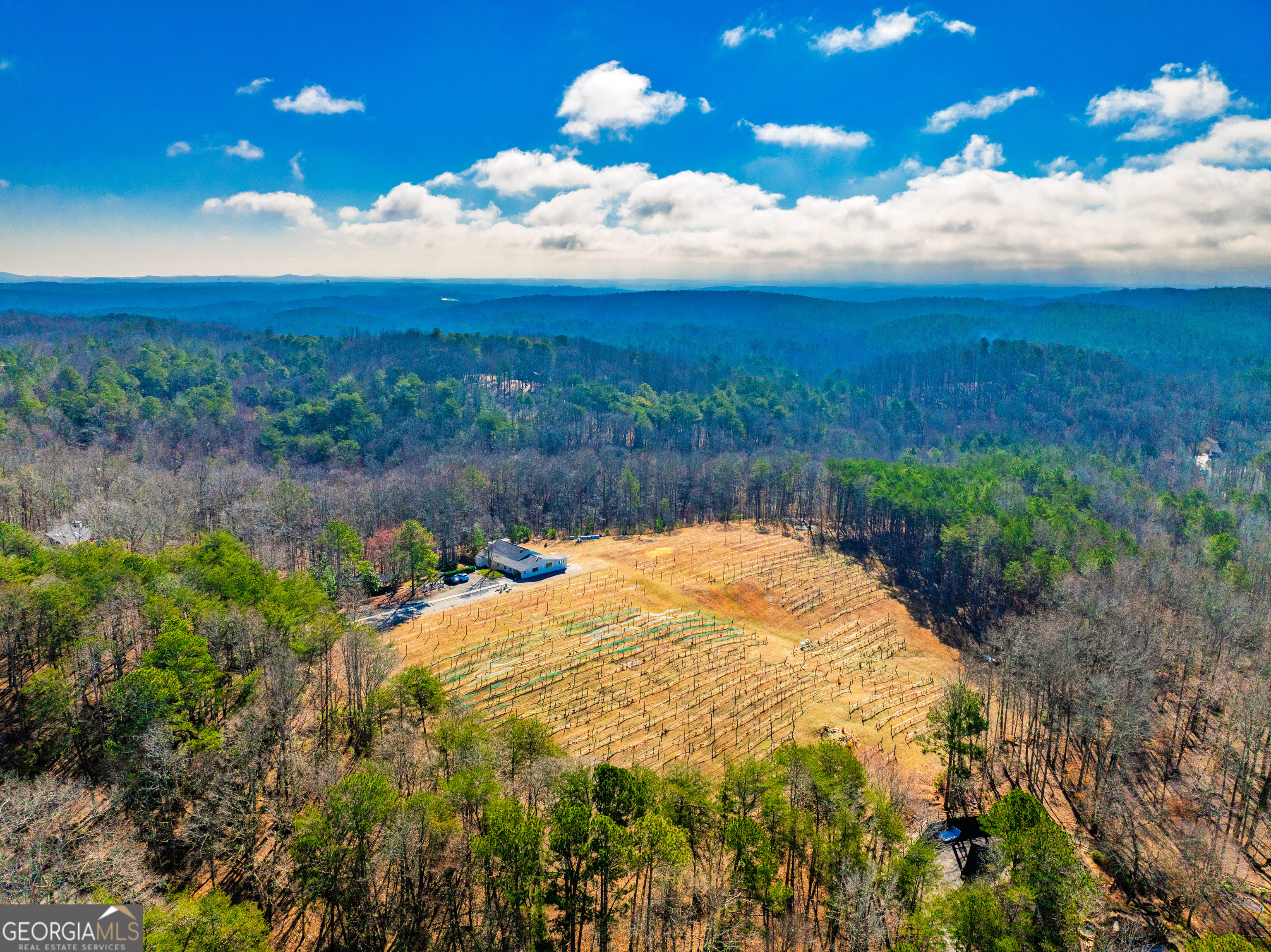 110 Rathgeb Trail Property Photo 30